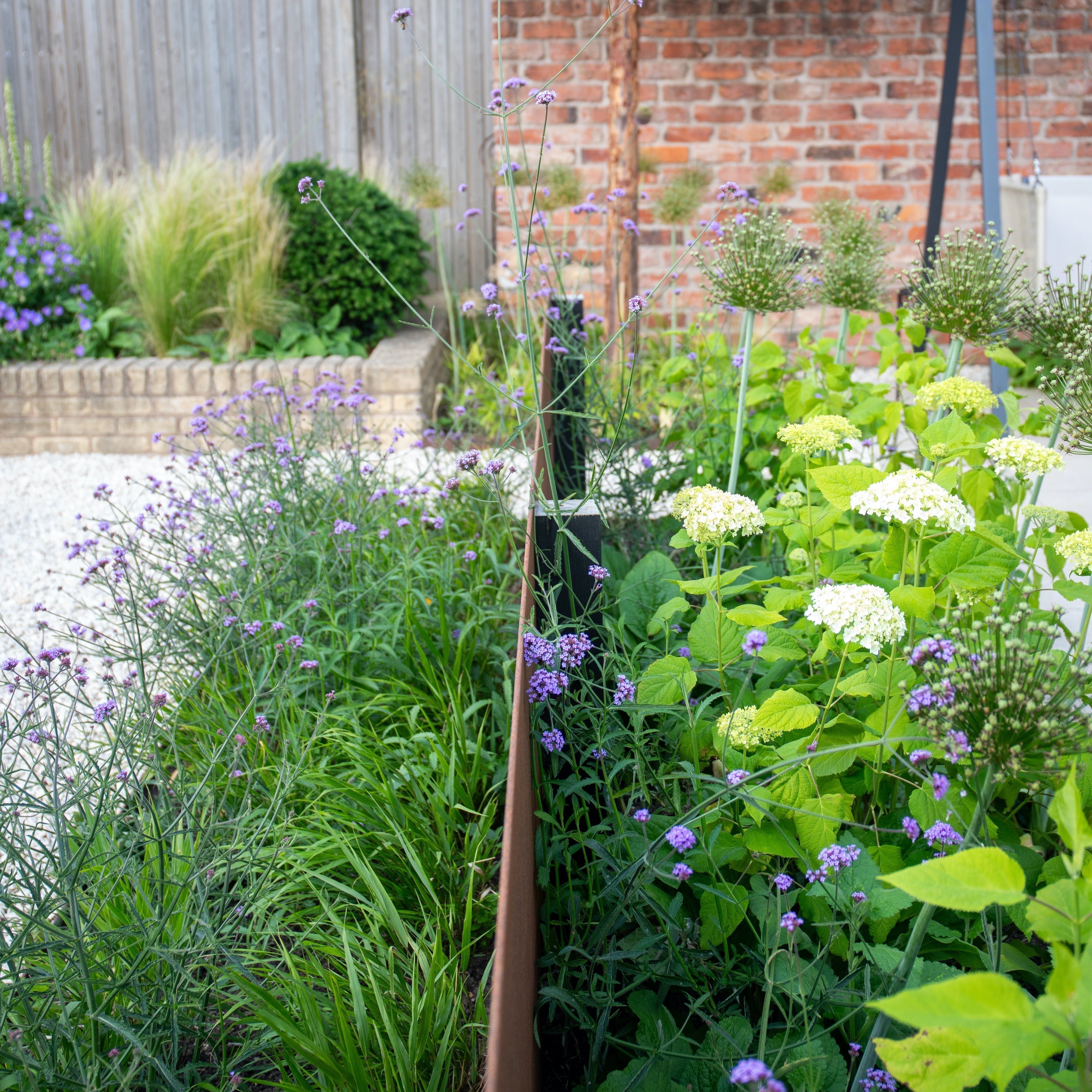 Garden planting alongside a corten steel wall. It features plants such as hydrangea.
