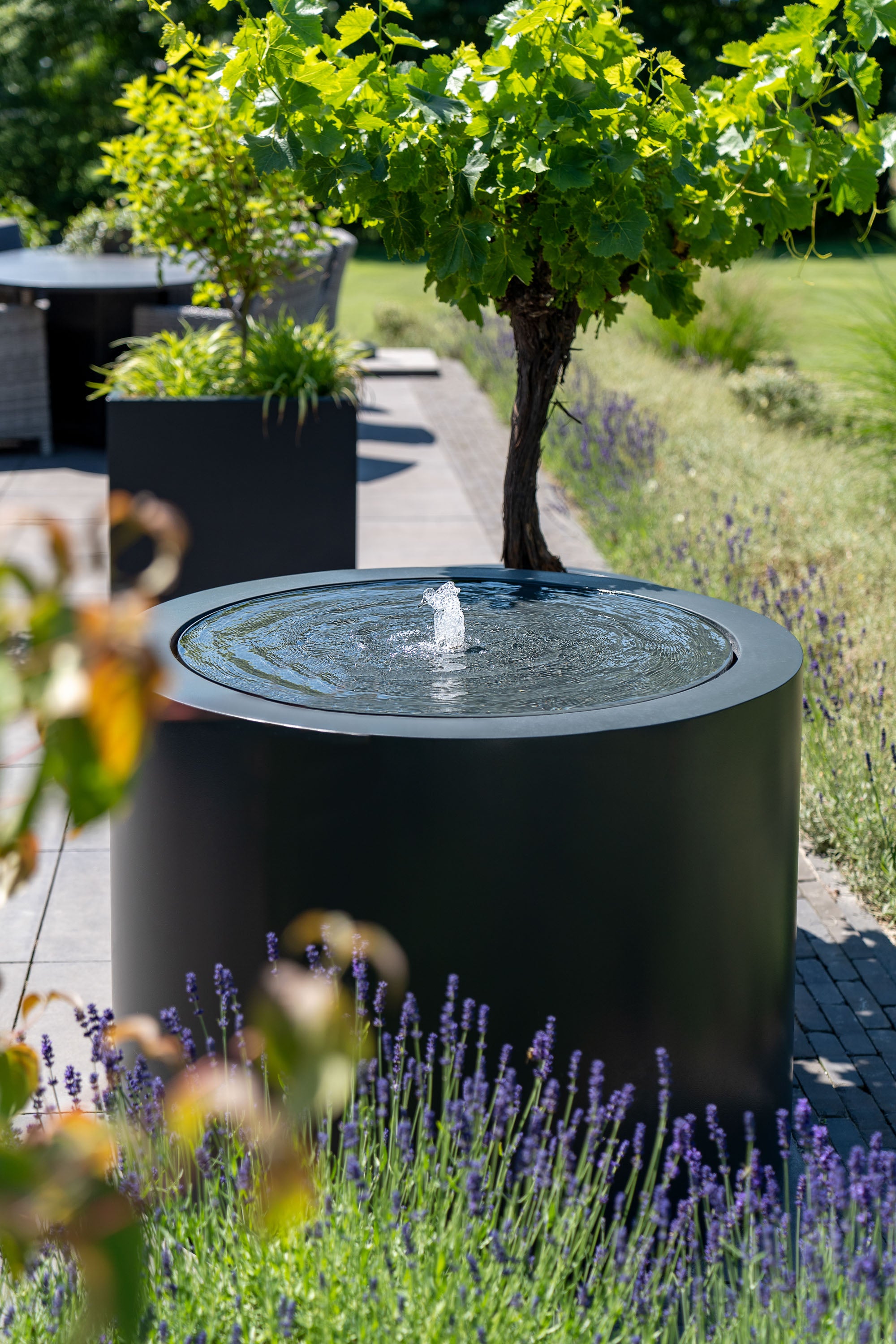 Black cylindrical water feature with fountain in a garden setting with trees and lavender.