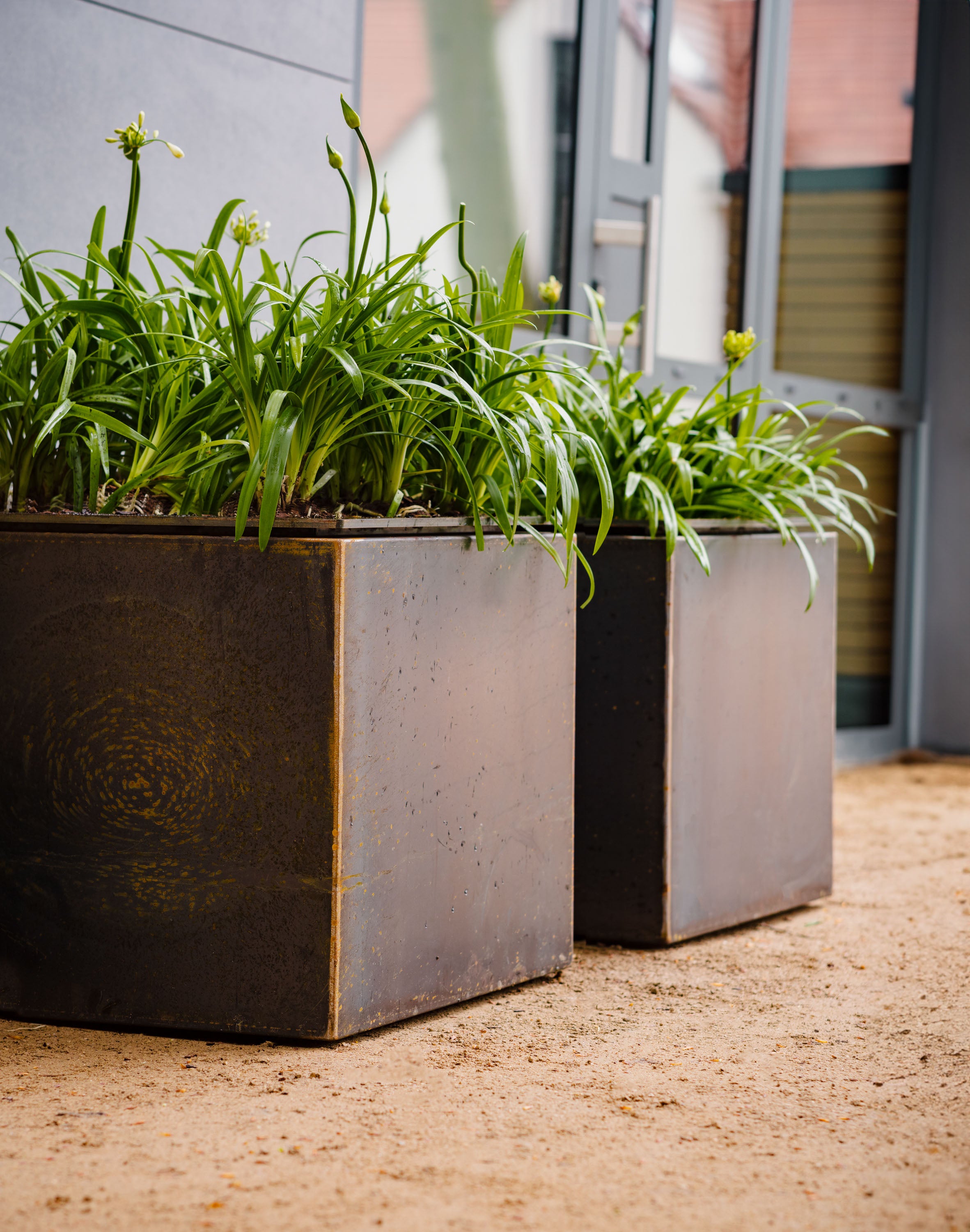 Two metal planters with green plants on a concrete surface.