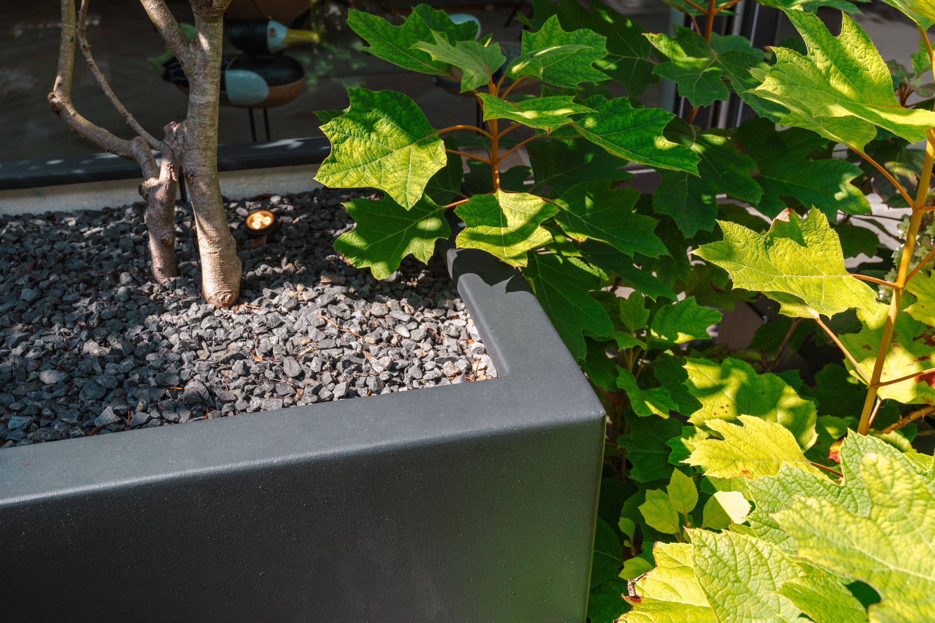 Gray planter box with green plants and small tree in a garden setting