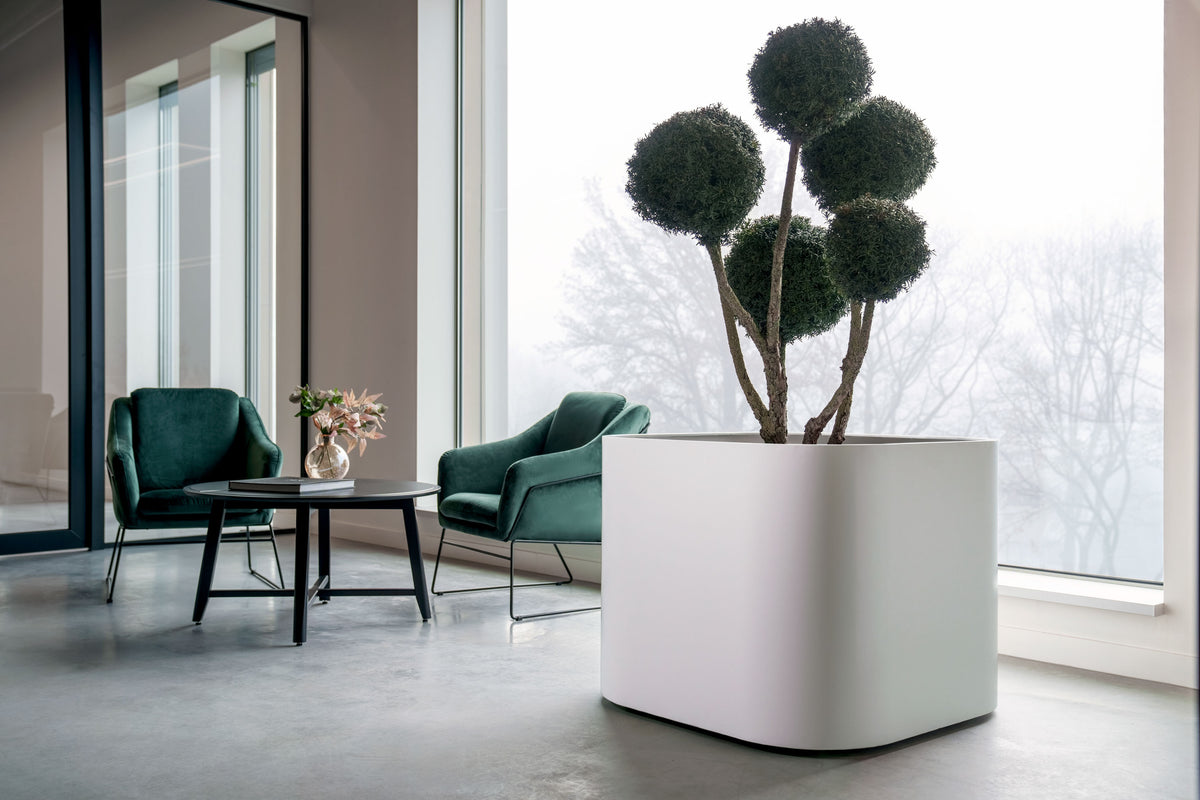 A large white rectangular planter holding a tall topiary-style tree with rounded green branches, placed in a modern interior with two teal armchairs, a small black table, and floor-to-ceiling windows.