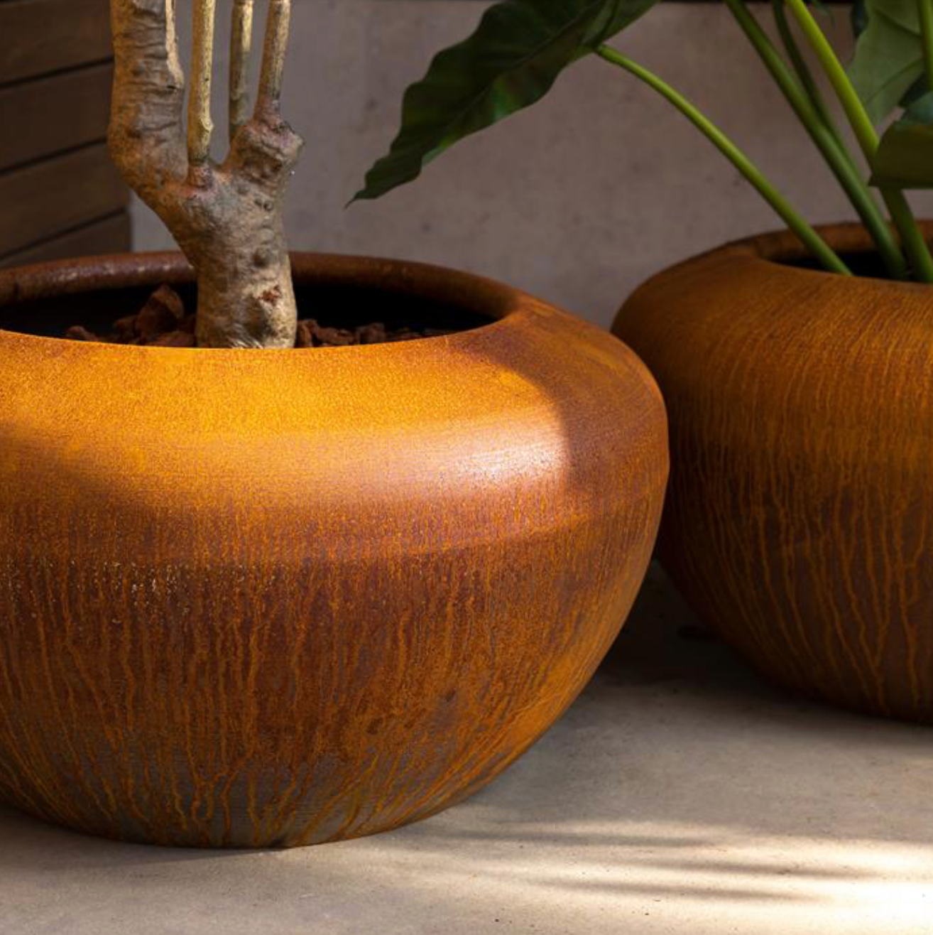 two round rusted planters with palnts