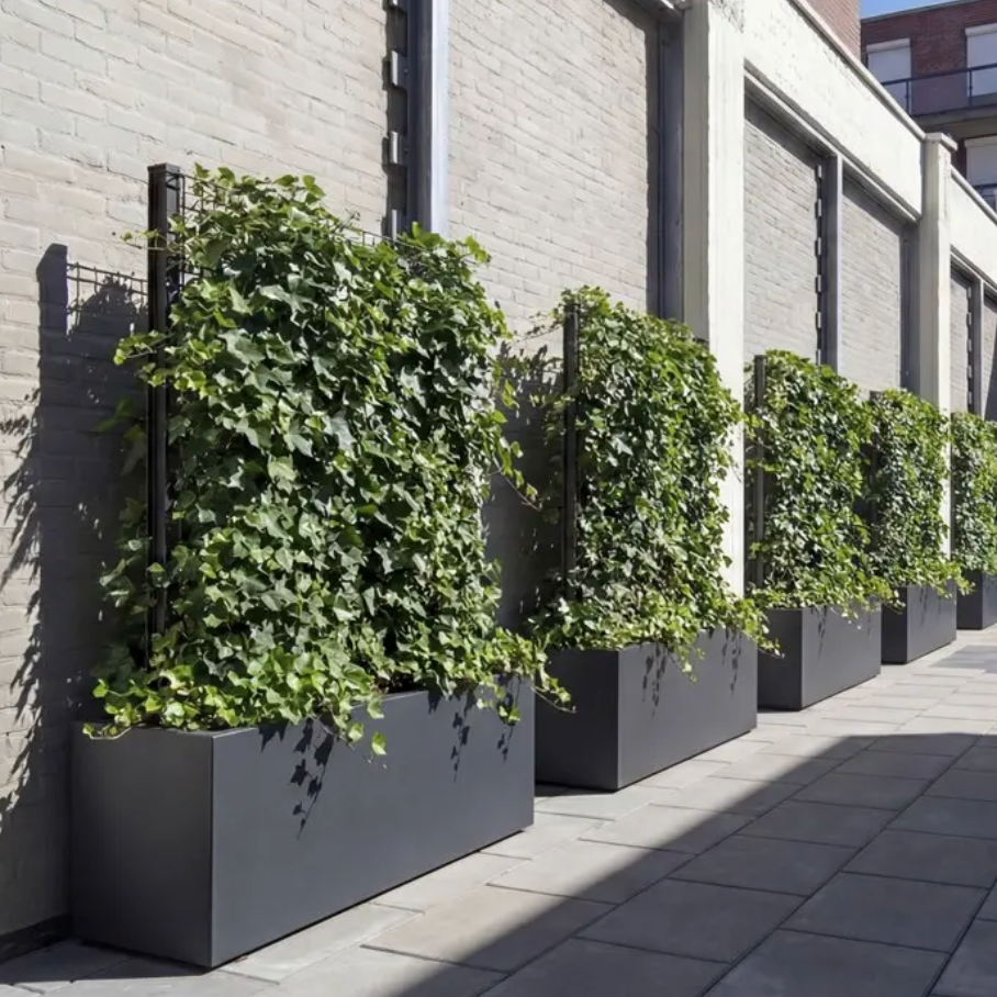 Coated Steel Trellis Living Wall