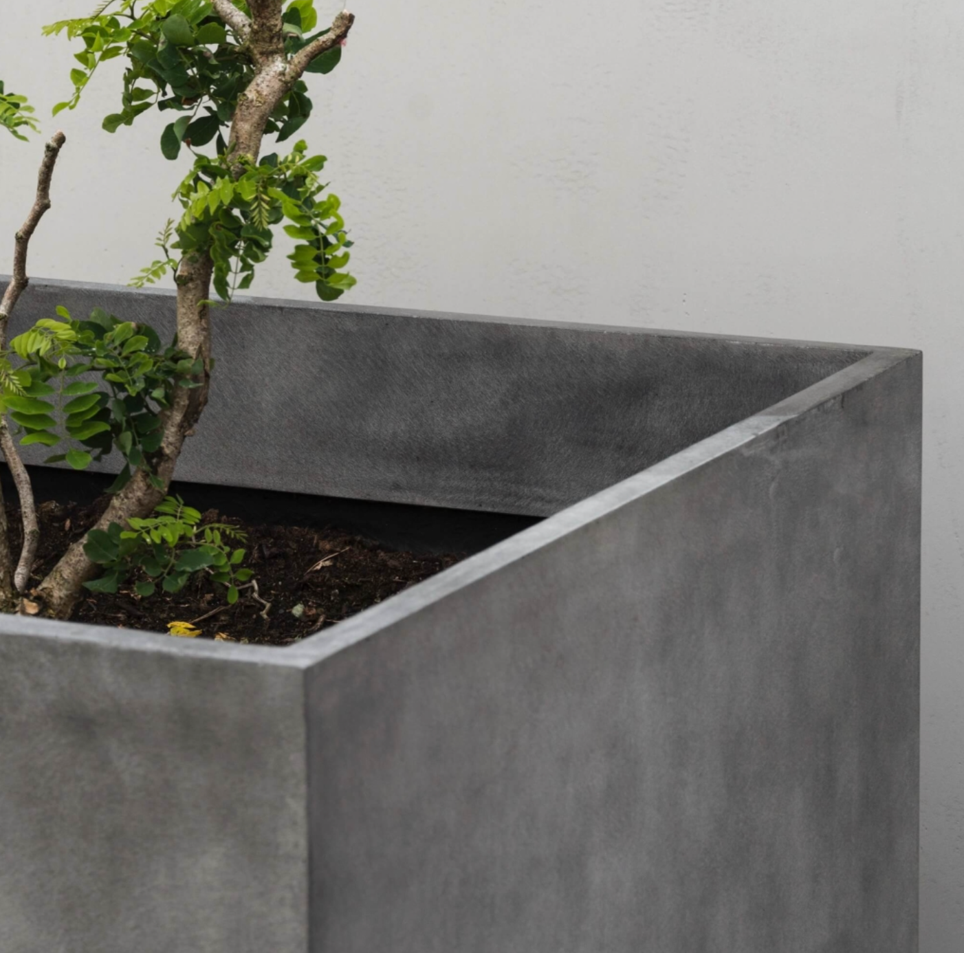 Reglito Cohesa Cube Planter