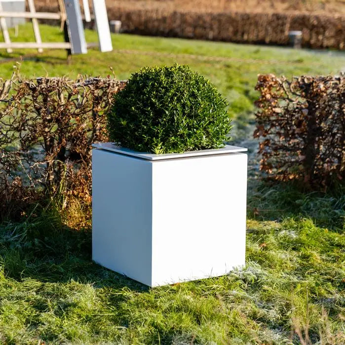 Domus Aluminium Planter