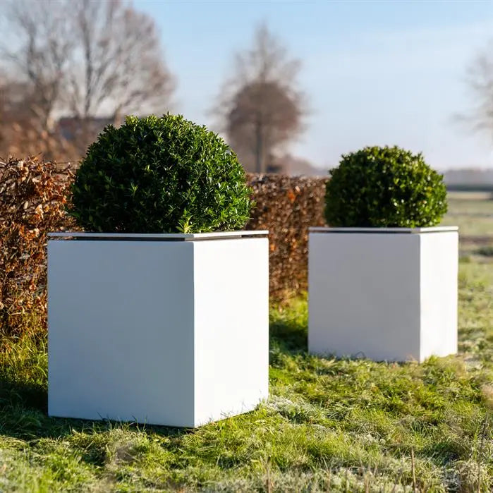 Domus Aluminium Planter