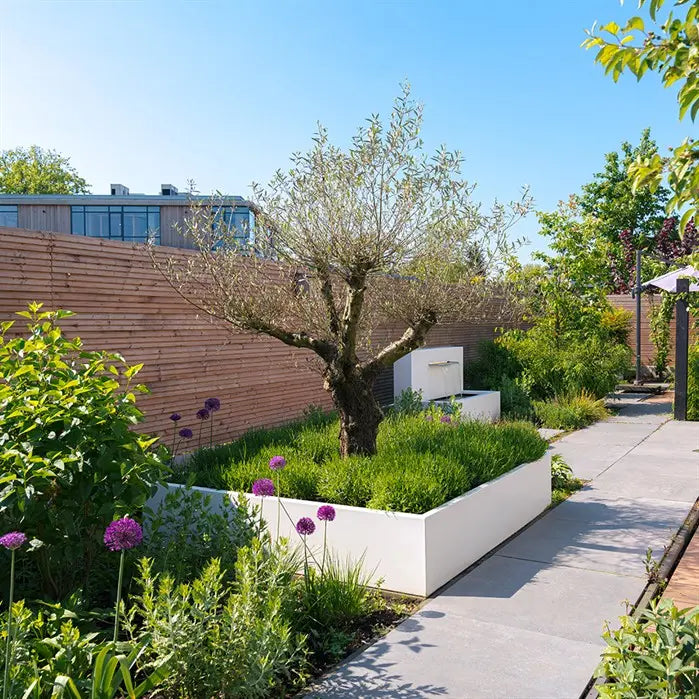 l-shaped white aluminium garden planted next to a pathway, planted with shrubs and a tree