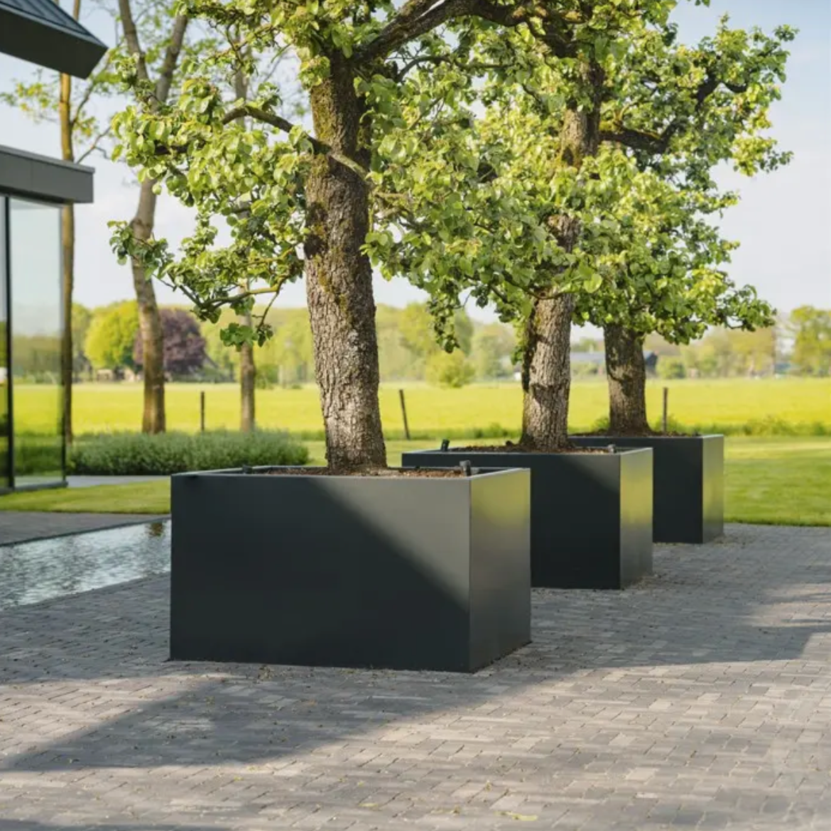 Modern black planters with trees in a garden setting