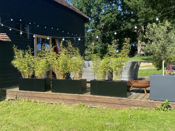 Garden setting with plants in black containers, wooden deck, and outdoor furniture.