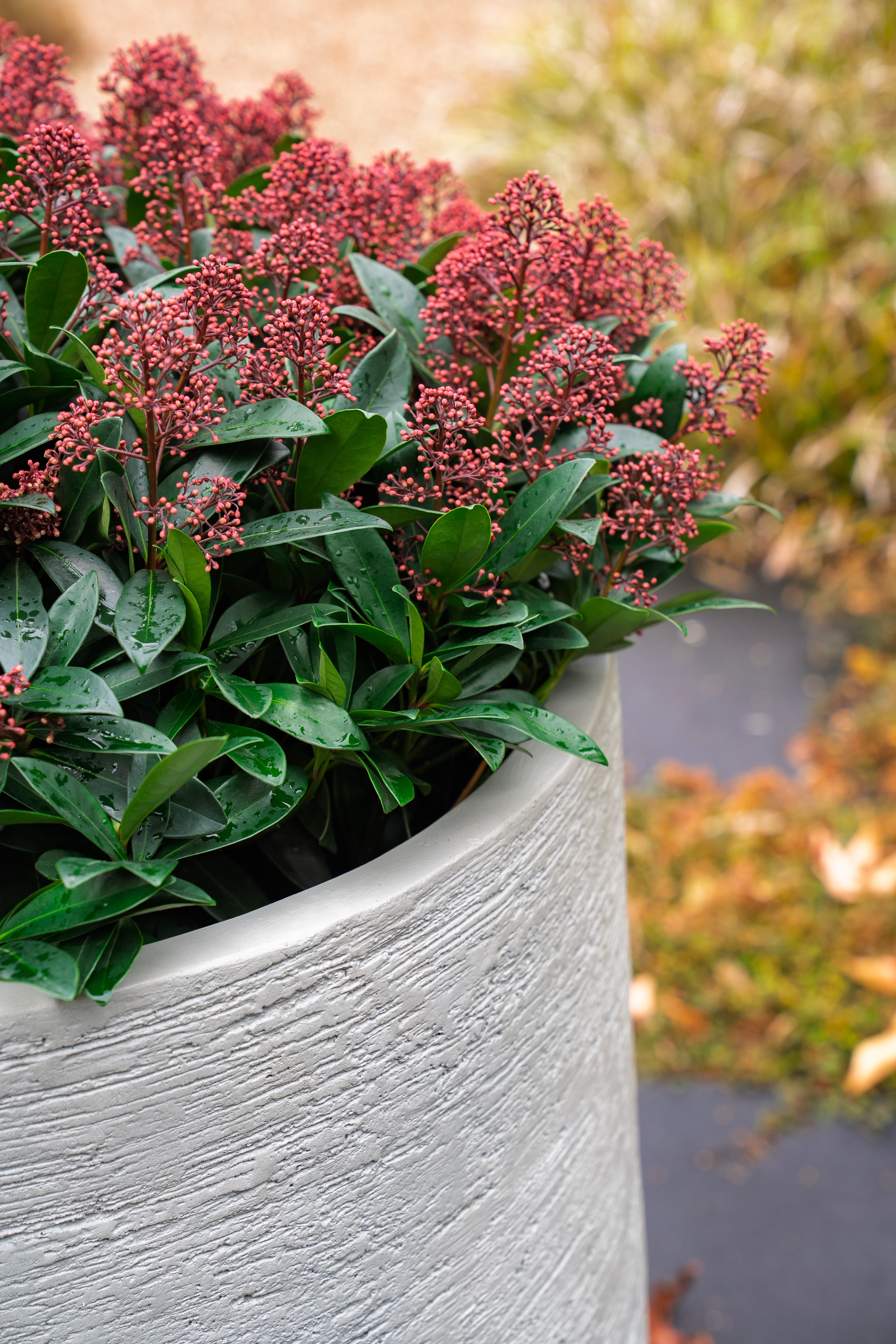 Kivo Stonecore Planter