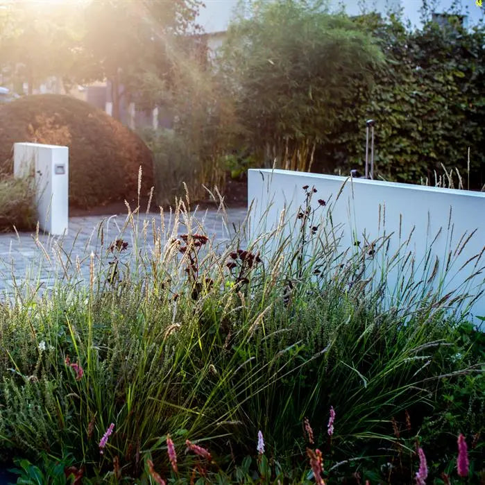 Garden scene with grass, flowers, and a white wall.
