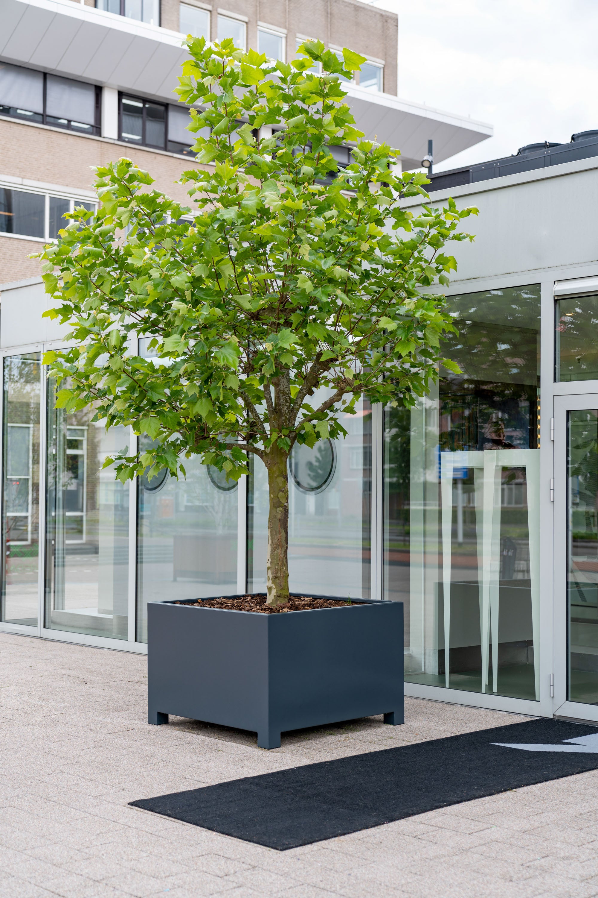 black aluminium cube planter with feet. planted with a tree in front of a commercial building
