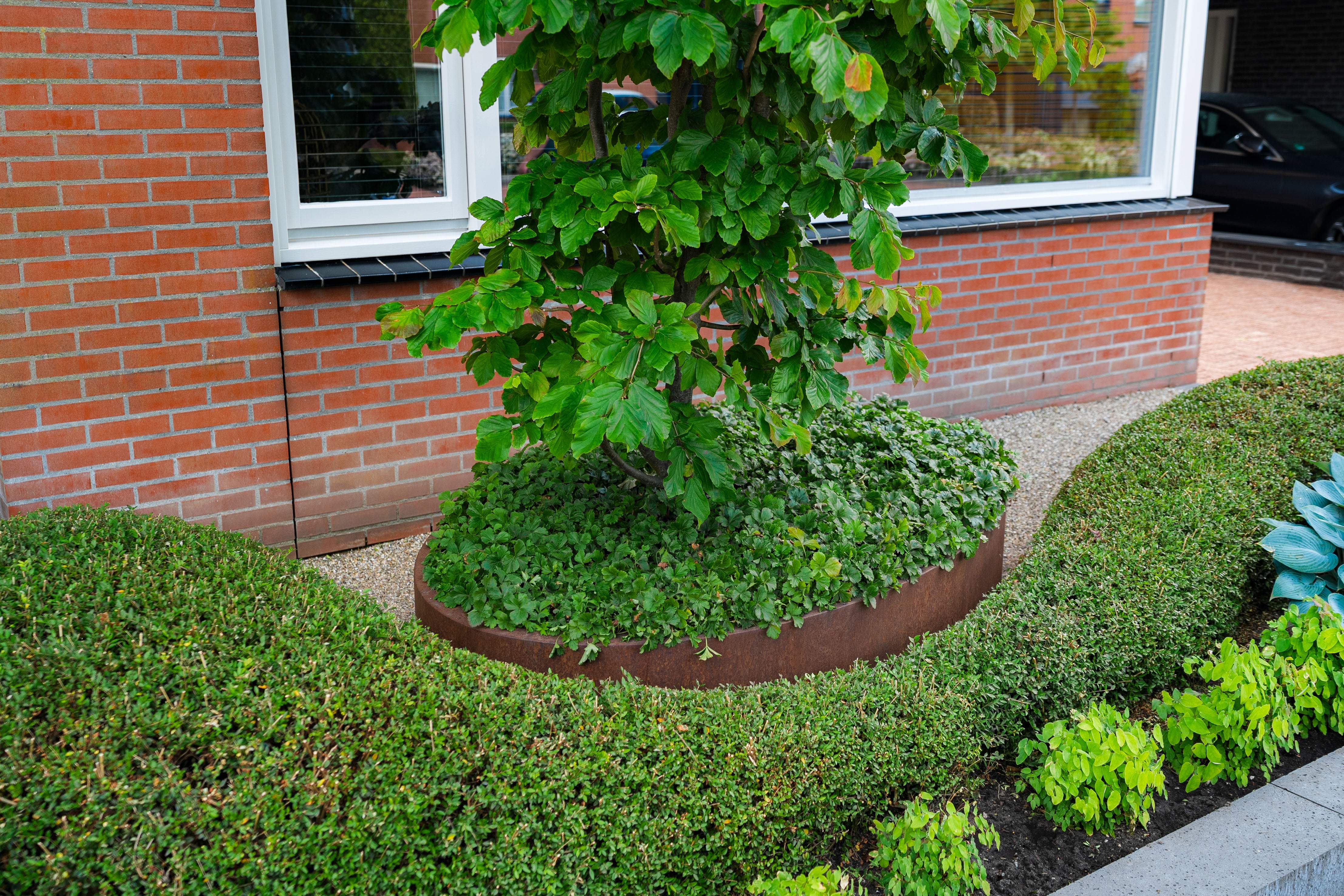 a oval rusted planter planted with greenery and a tree next to a hedge