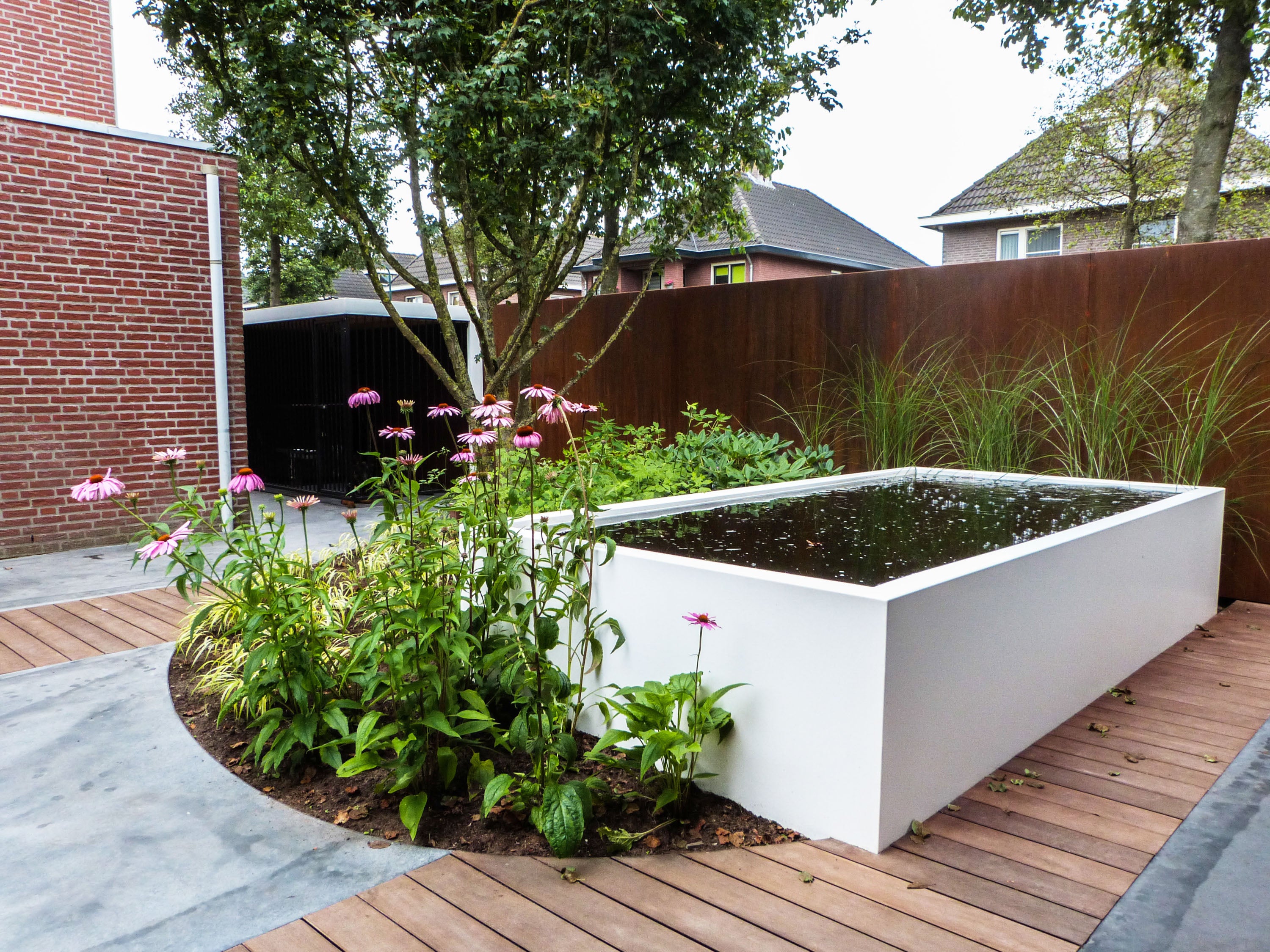 Modern garden with a white rectangular planter and wooden deck