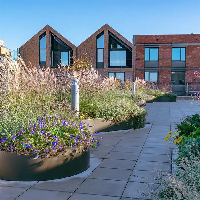 curved black aluminium retaining walls planted with grass and flowers