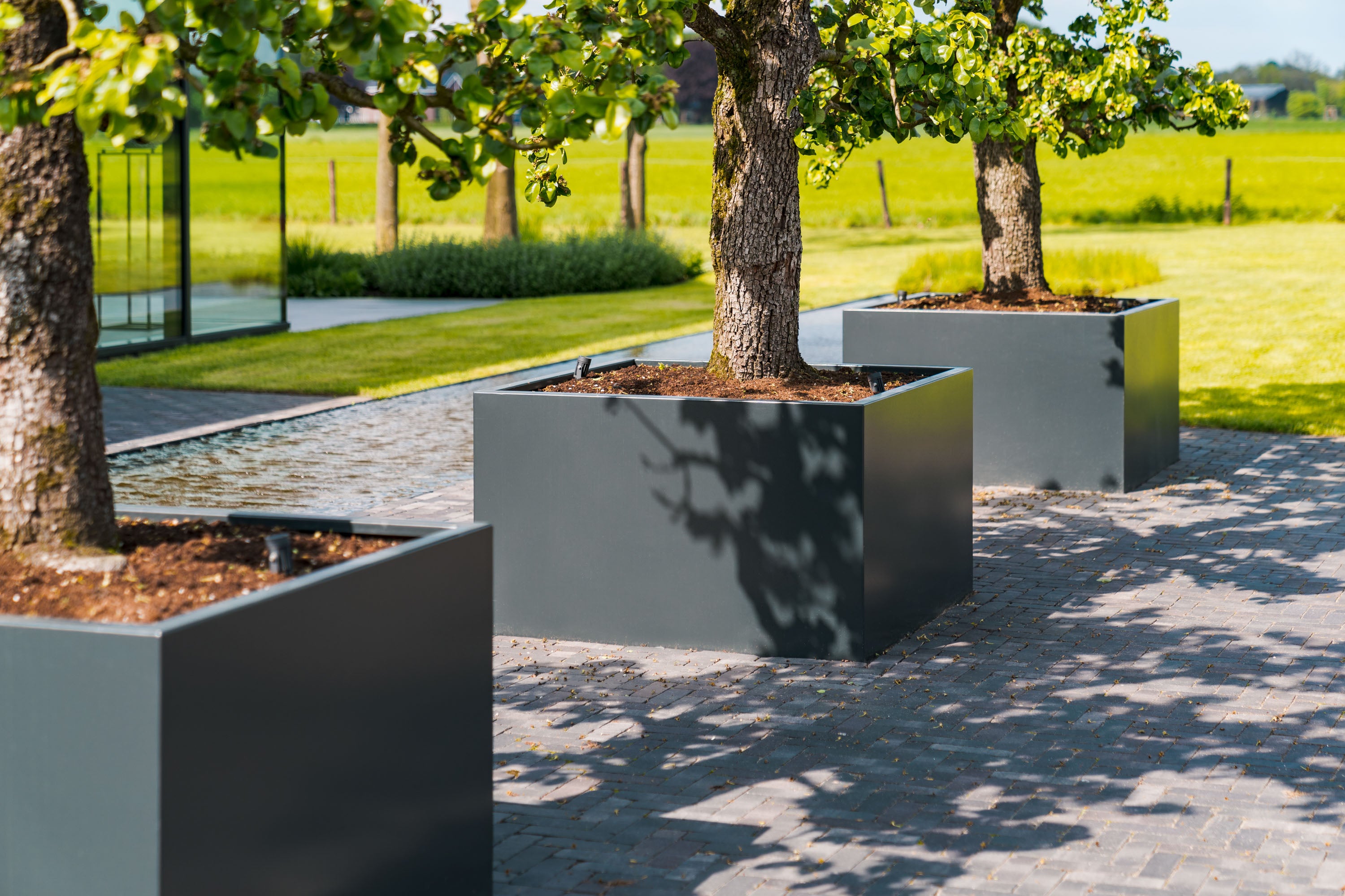 black square planters planted with trees on paving next to grass