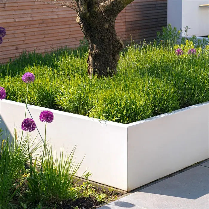 white alumium l-shaped garden planter. planted with greenery and a tree