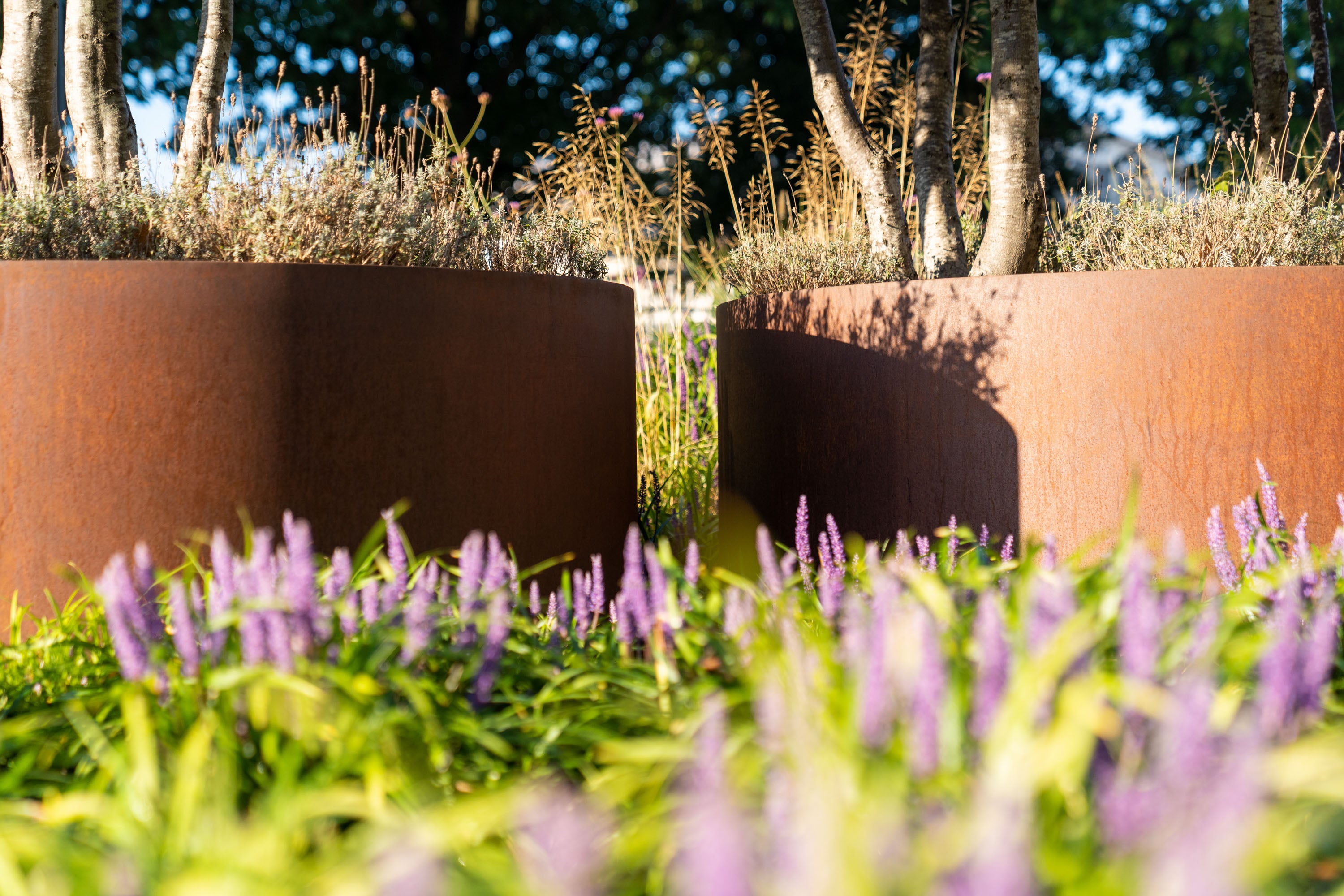 Two rust-colored cylindrical planters with purple flowers and greenery in a garden setting.