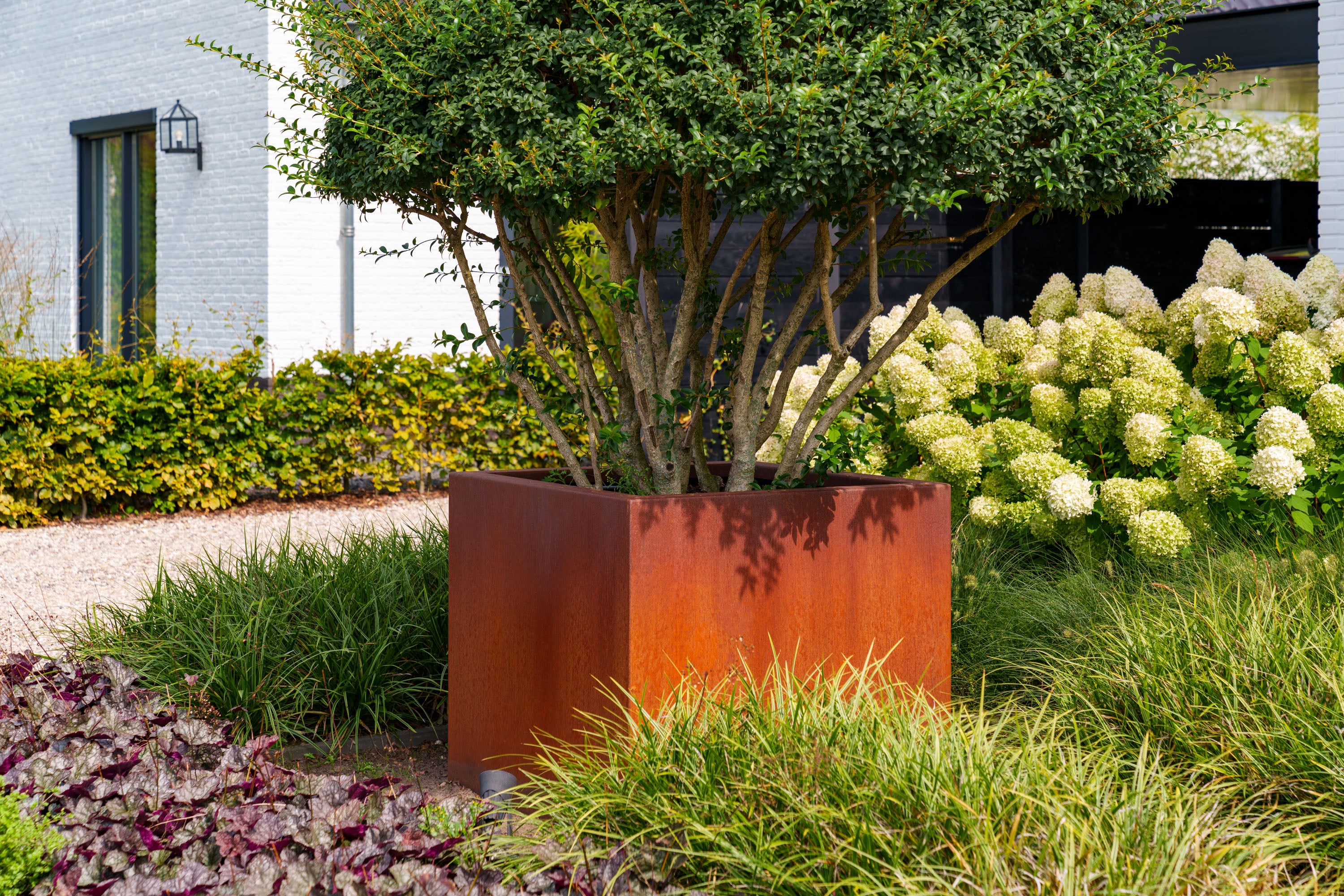 corten rust coloured cube planted with a tree in a bed of grass
