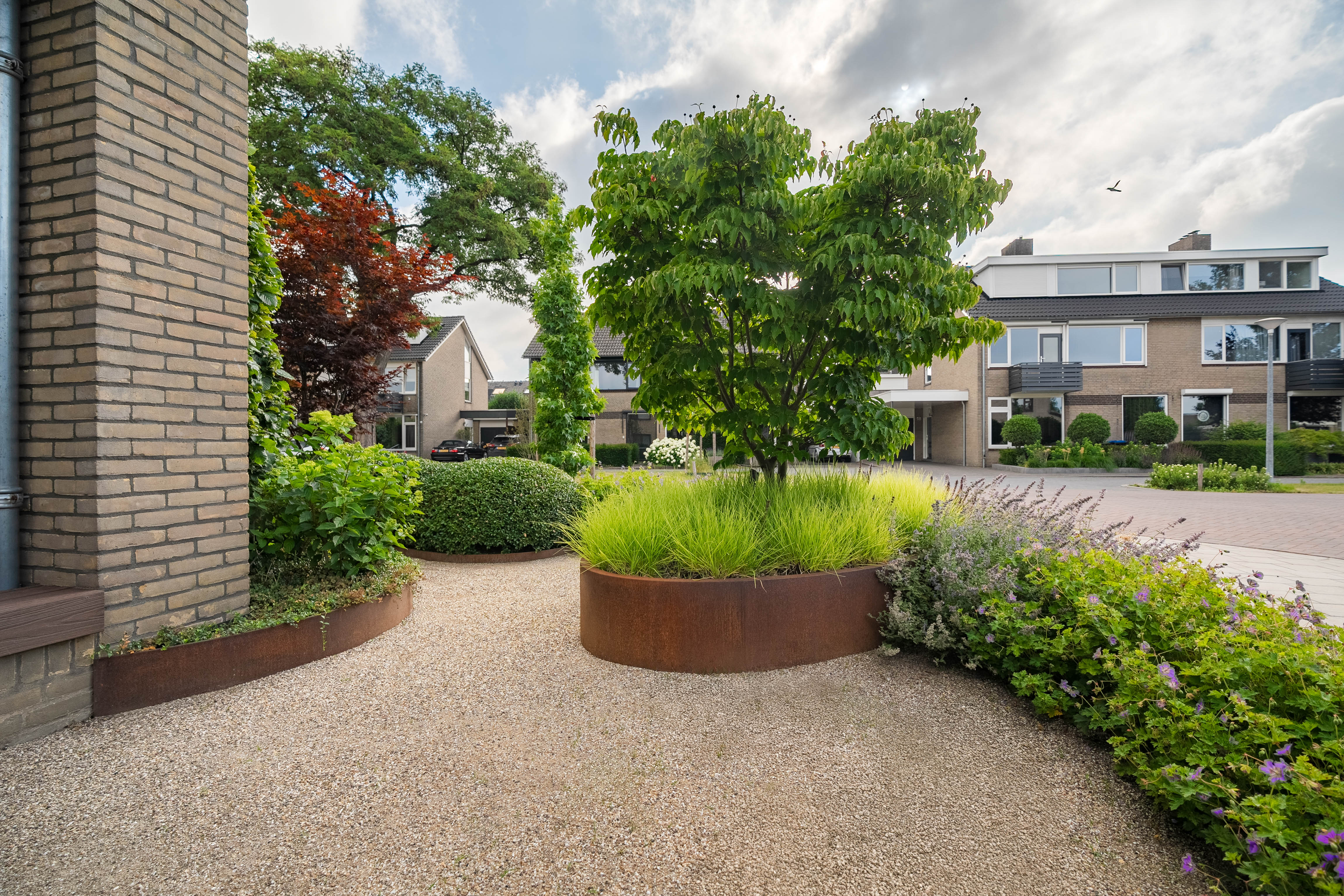 Garden with a large tree and planters in front of a house