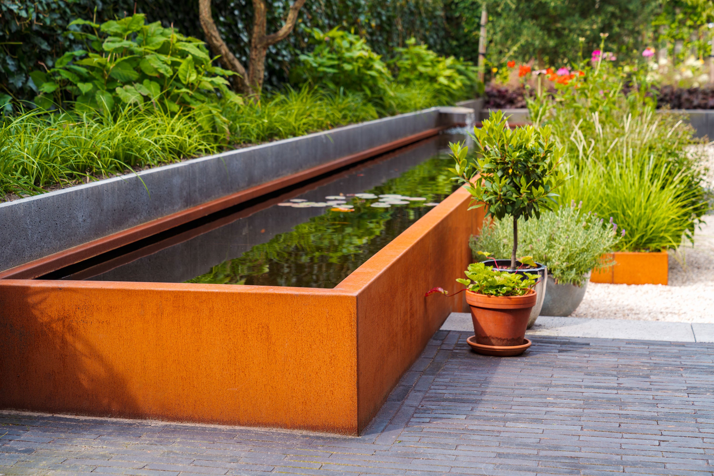 Outdoor garden scene with a long rectangular water feature, potted plants, and greenery.