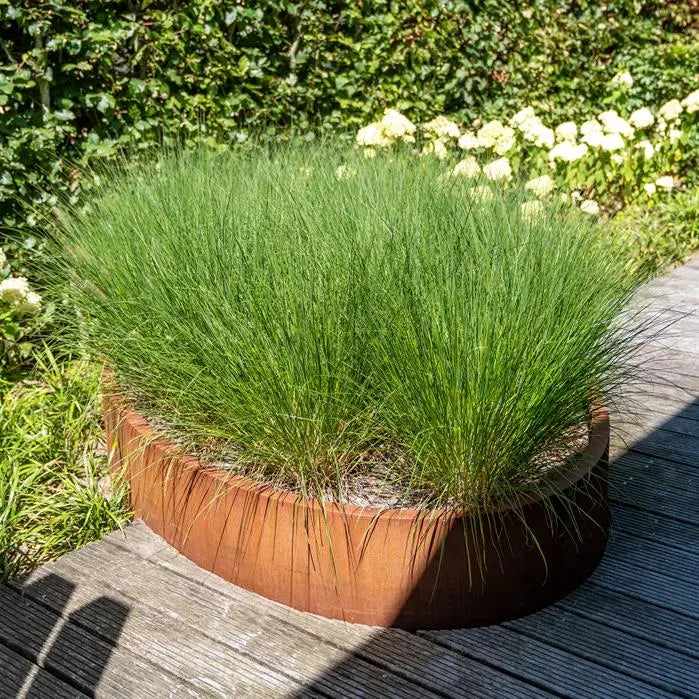oval corten planter with grass on decking