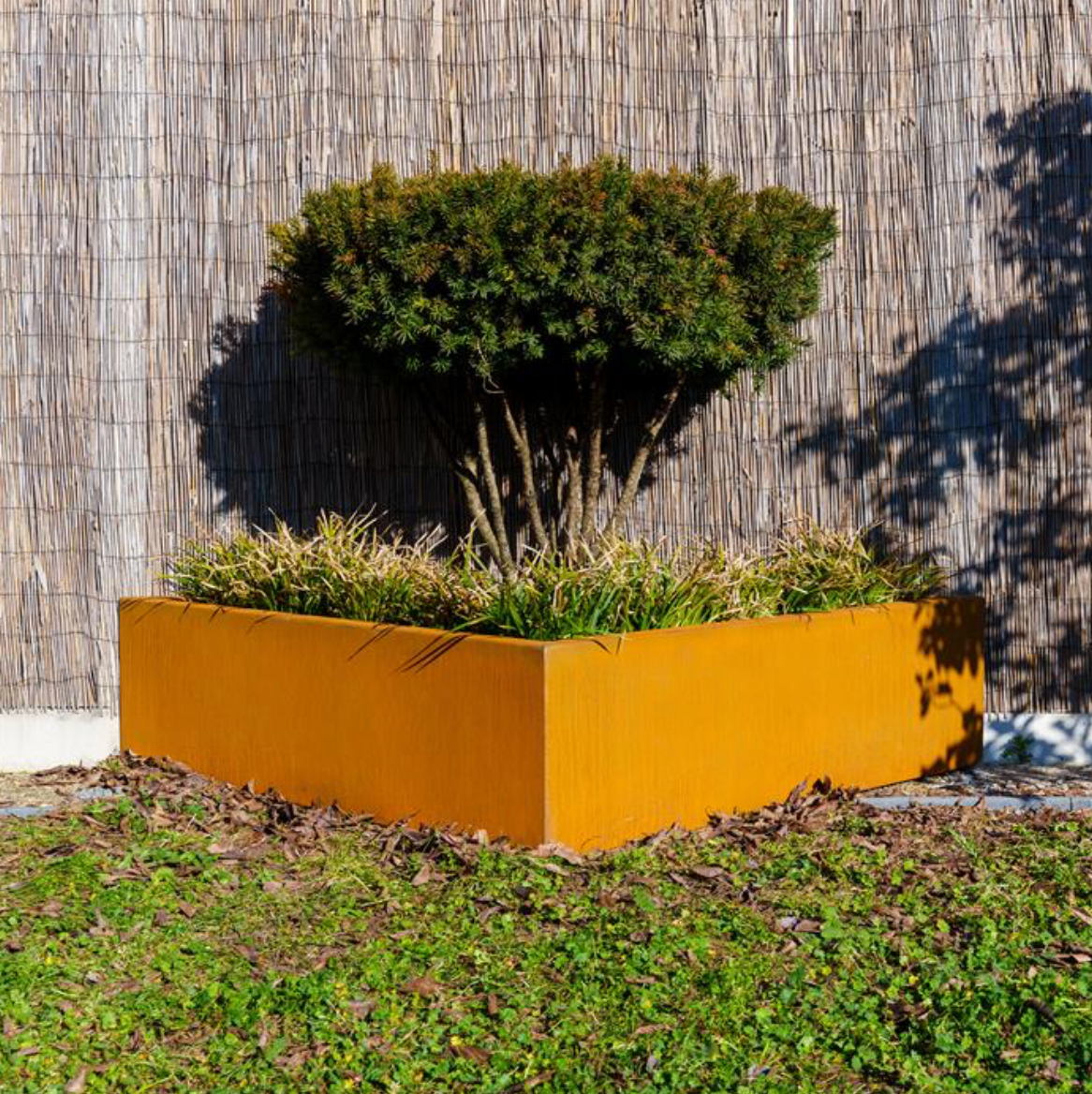 triangle Corten steel garden planter, with tree and shrubs