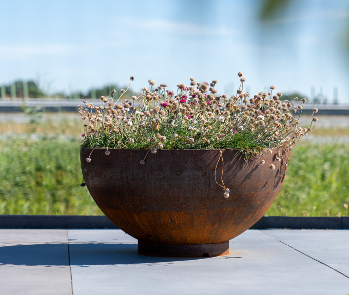 round rusted garden planter with lowers on paving