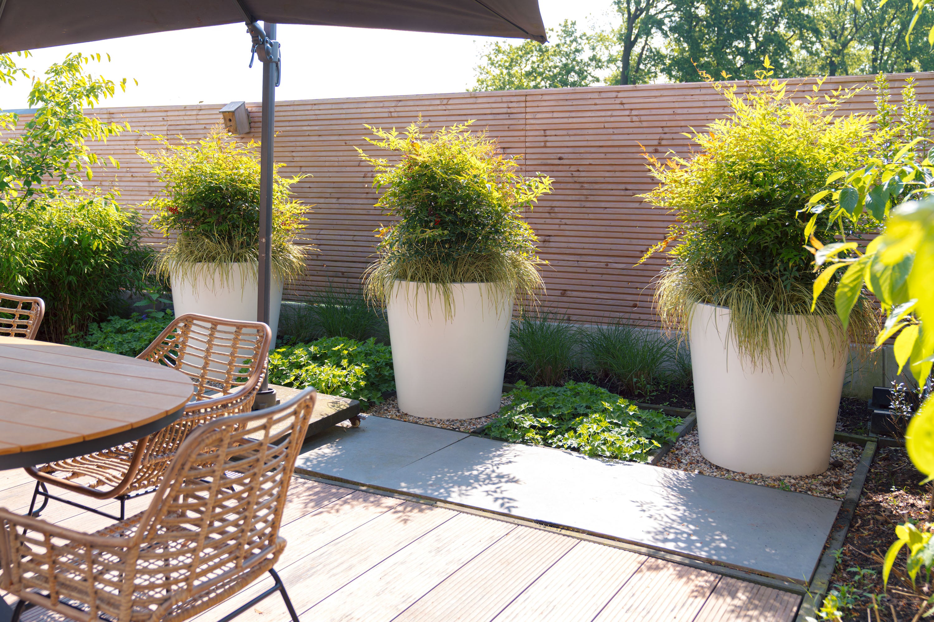 Outdoor patio with wooden table, chairs, and white conic shaped pots plants against a wooden fence.