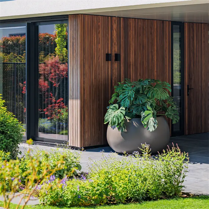 Large grey planter set outside a house planted with large plant.