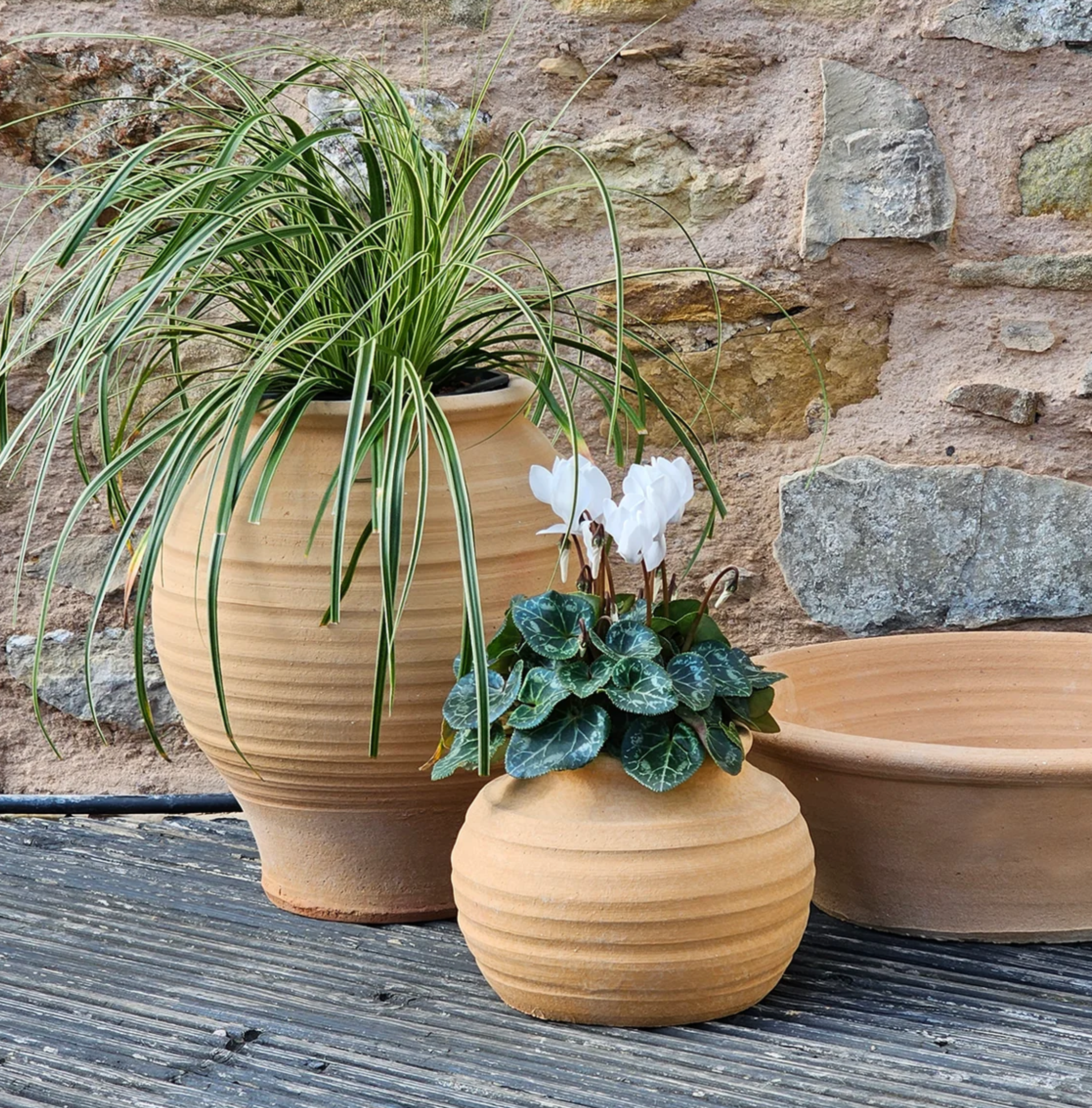 Mini Plake Terracotta