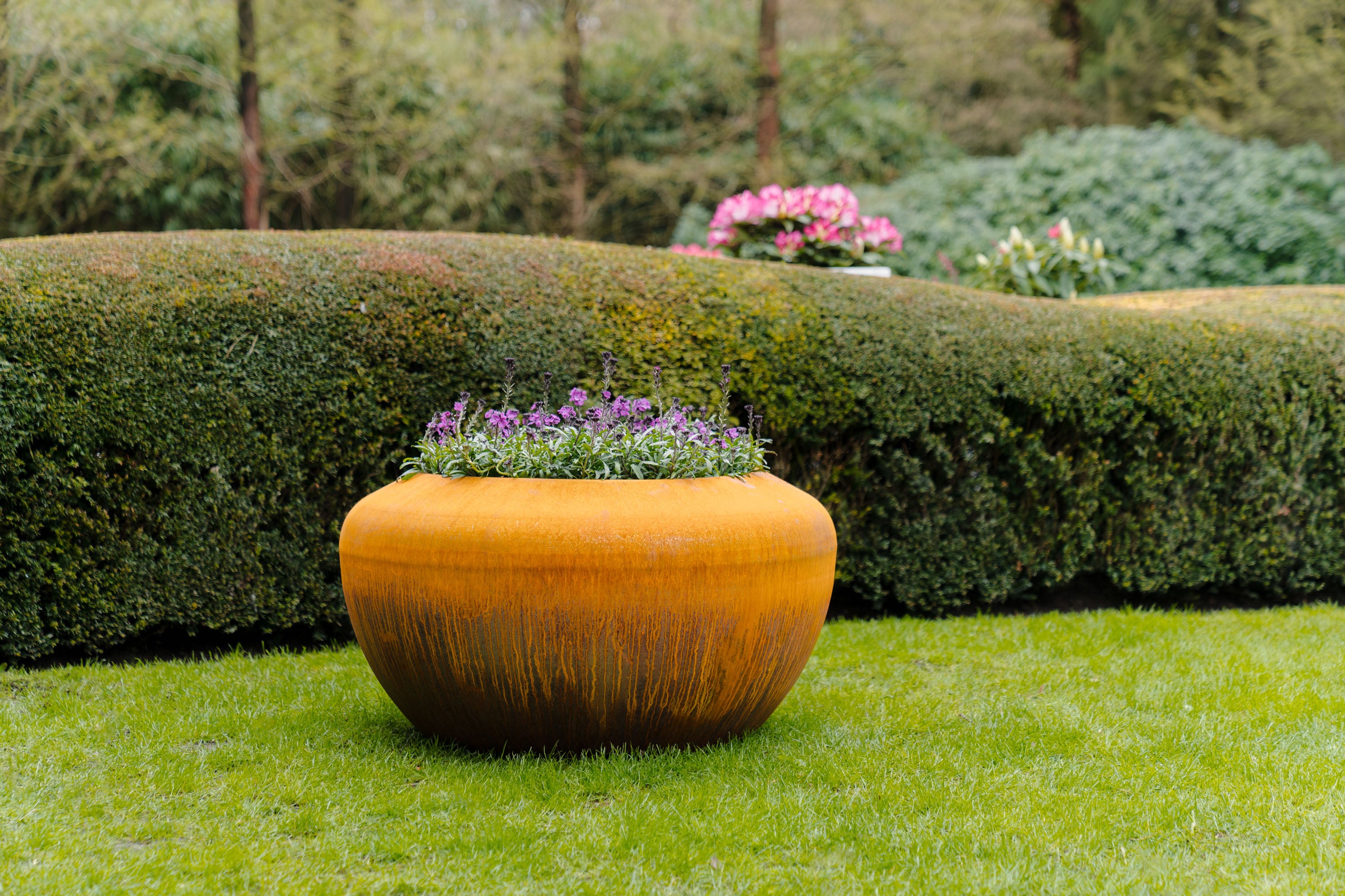 round rust coloured planter with purple flowers on lawn
