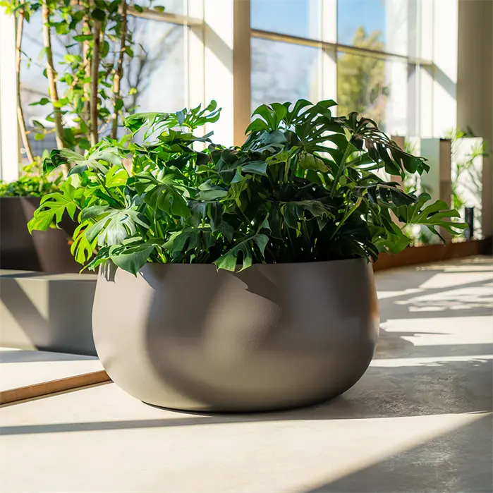 round grey designer plant pot situated indoors and planted with greenery