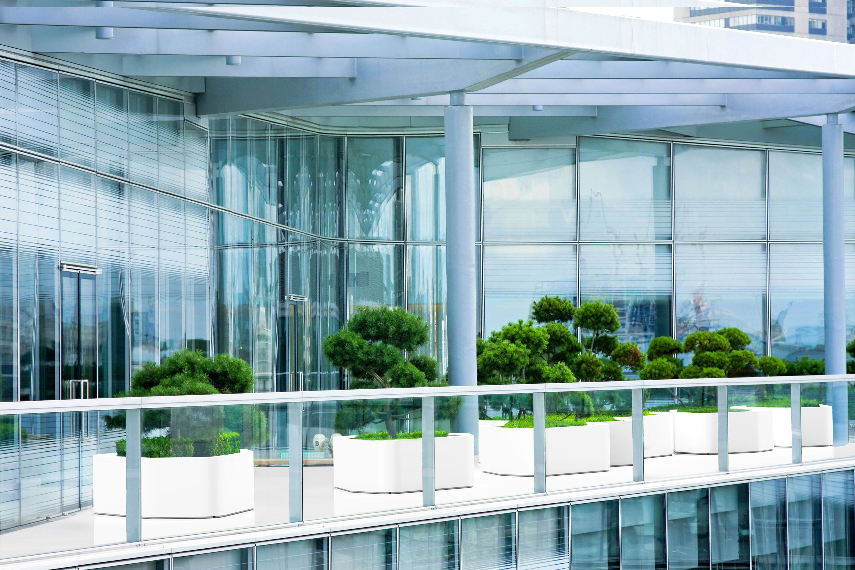 Modern glass building exterior with large white planter boxes containing trimmed green shrubs along a rooftop terrace.