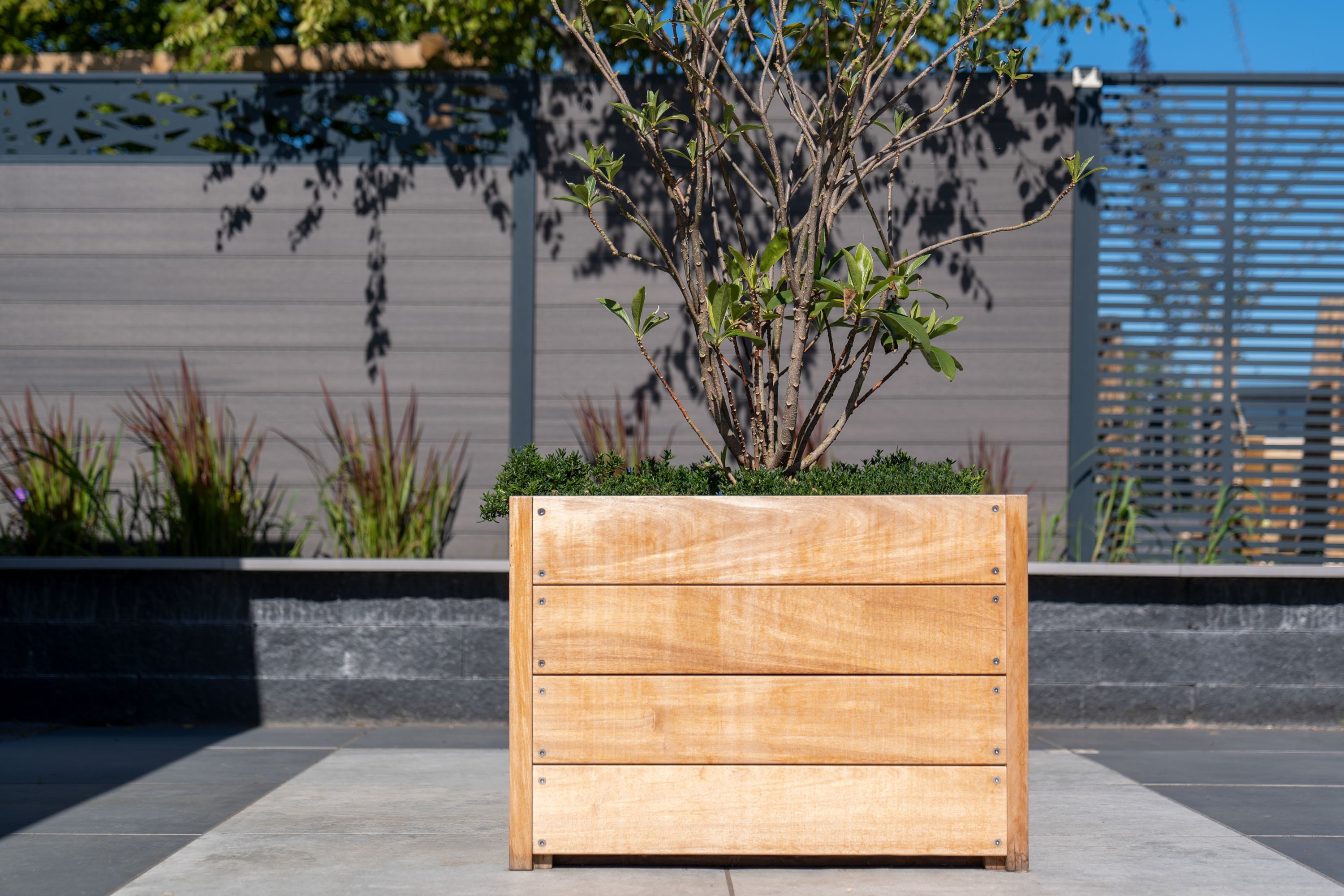 Wooden planter box with plants against a modern building facade