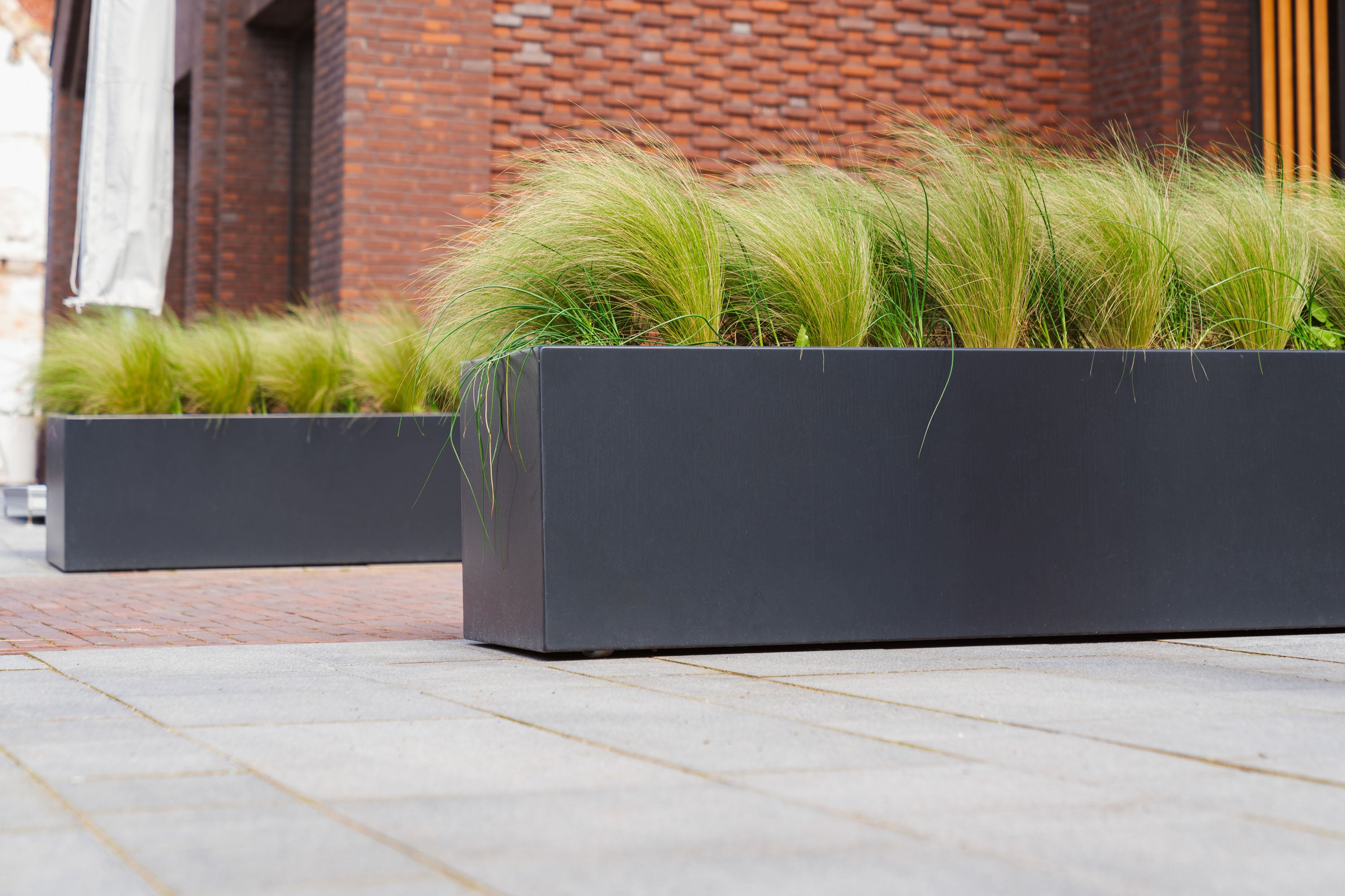 black trough shaped planter with wheels planted with grass on paving slabs