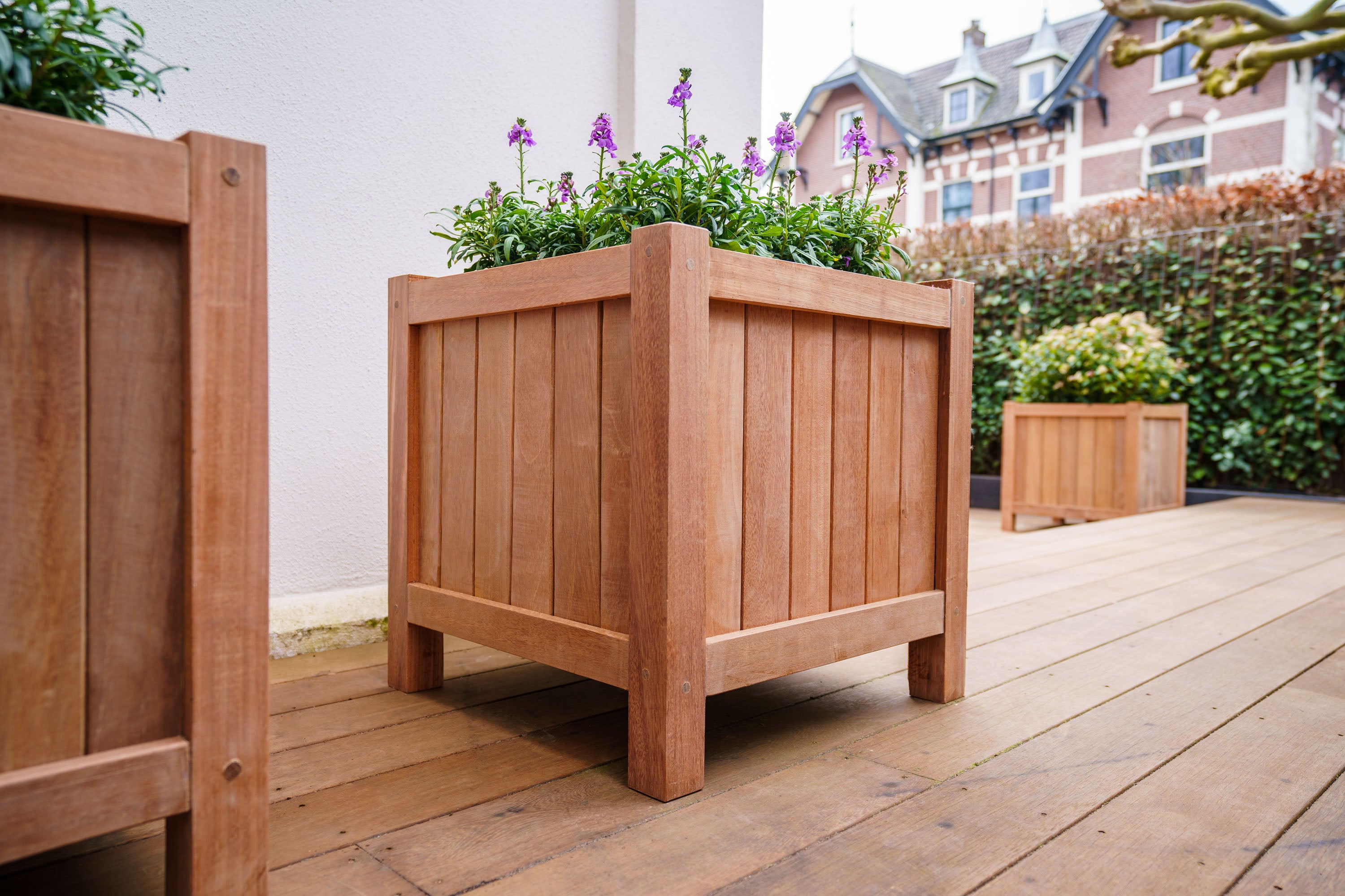 Wooden trough and square planters with plants on a wooden deck
