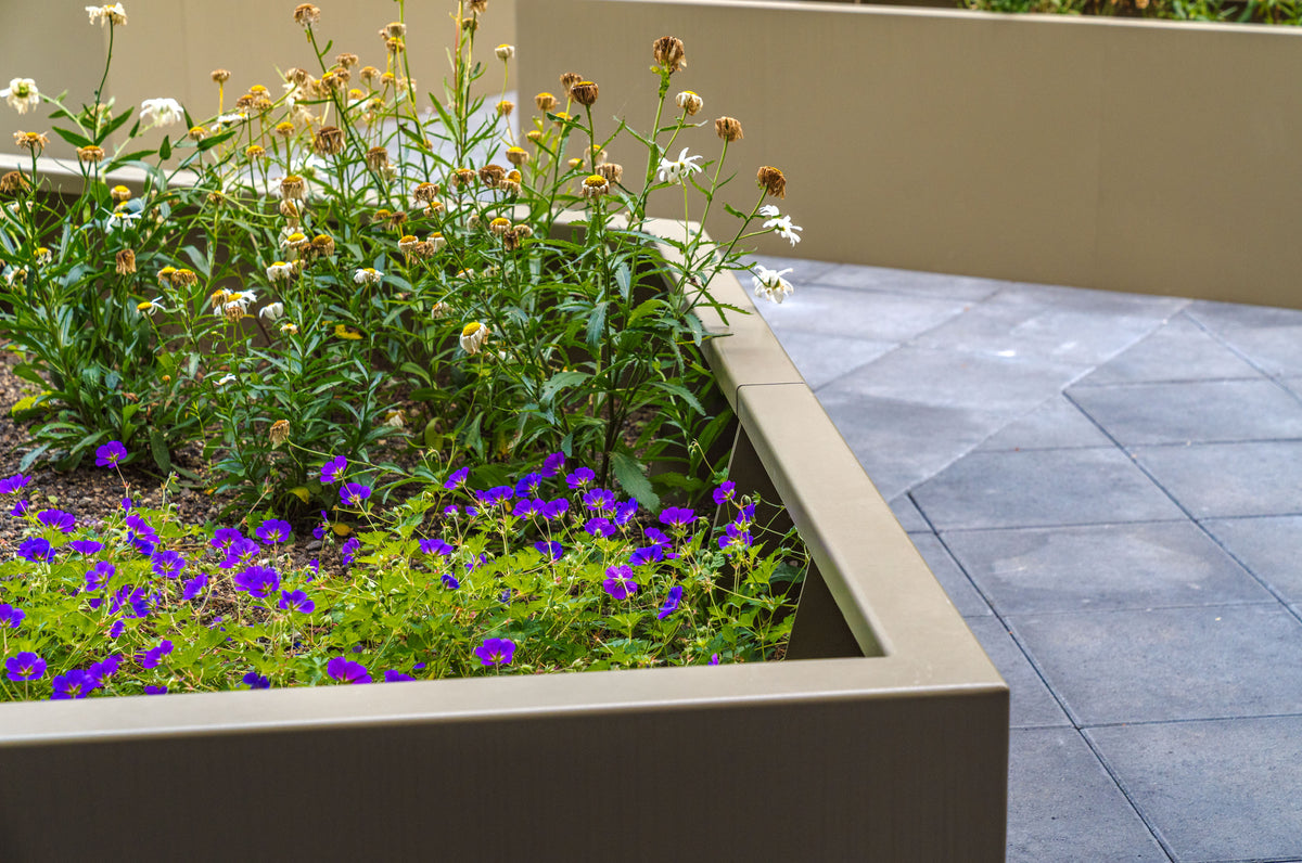 A modern rectangular concrete planter box filled with green foliage, white daisies, and purple flowers, set next to a gray tiled patio.