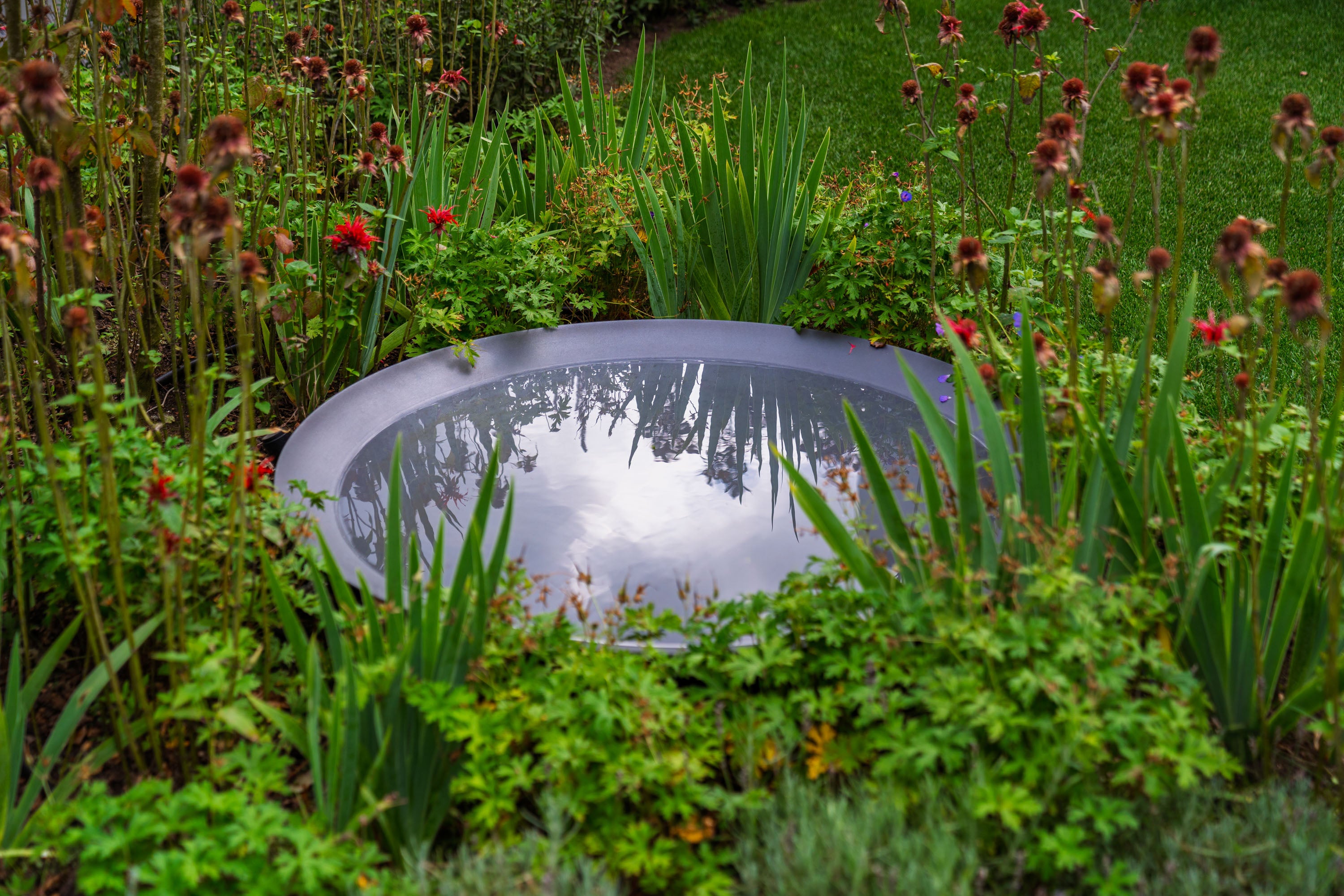 Small pond surrounded by greenery and flowers in a garden setting