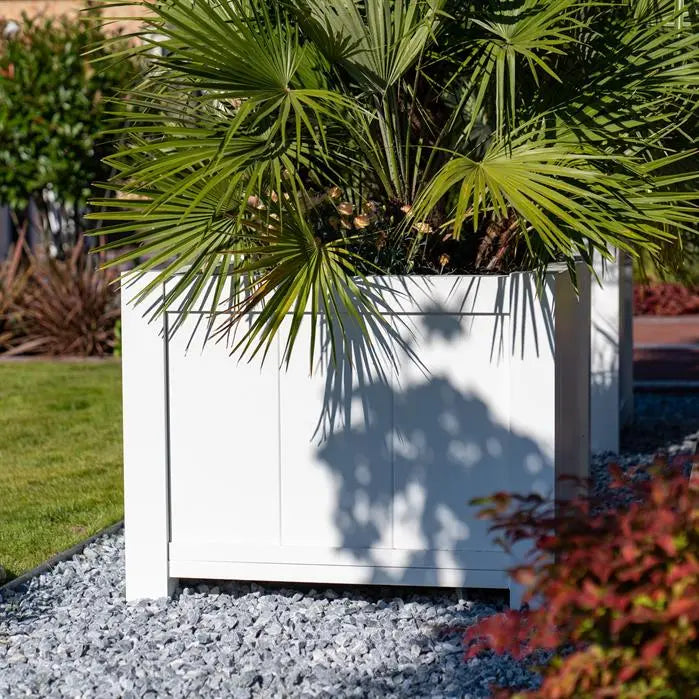 square white planter with palm on gravel