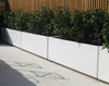 row of white garden trough shaped planters