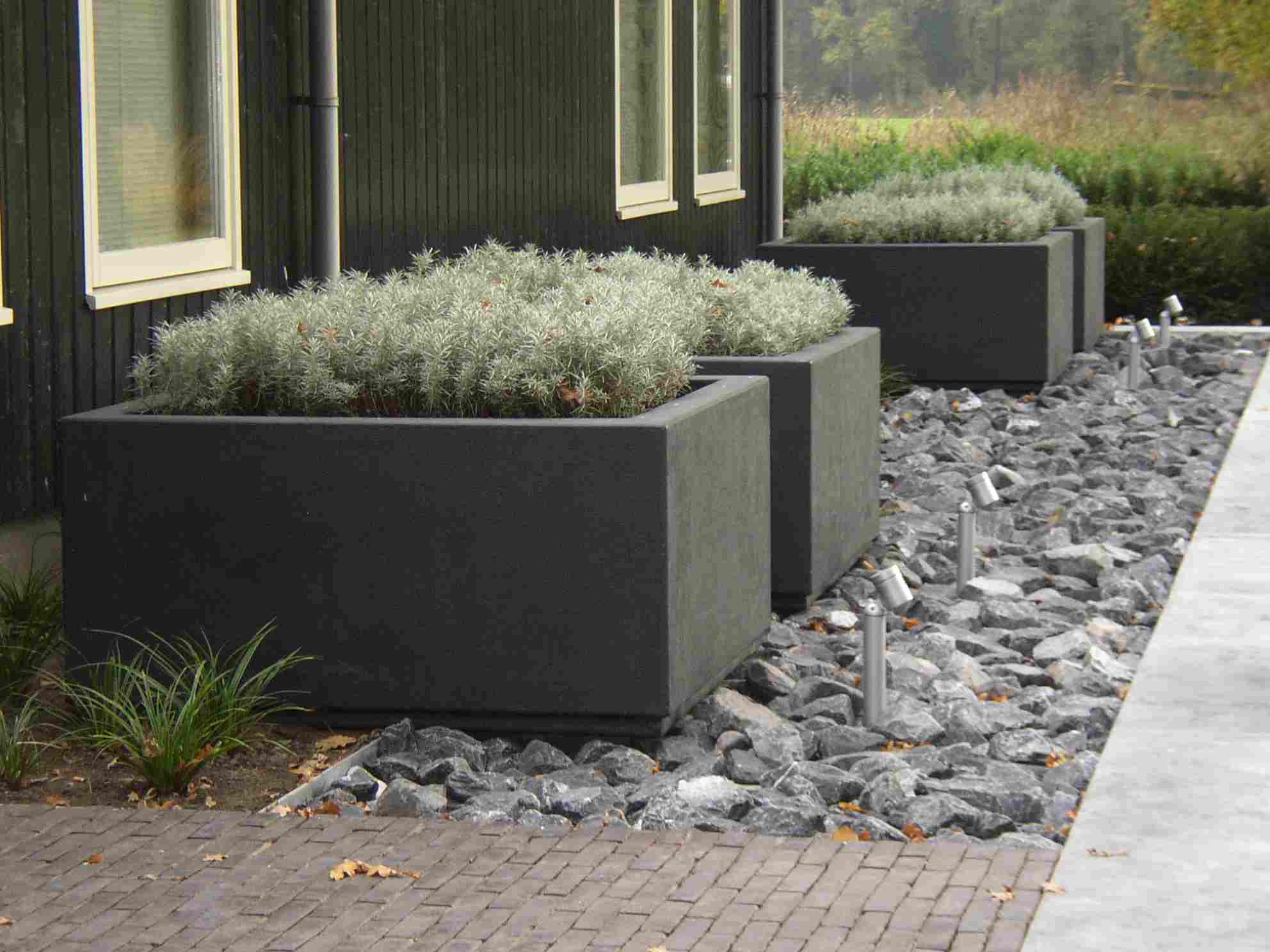 four square black fibreglass garden planter. planted with shrubs.