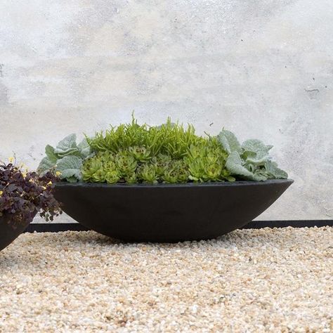 round black disc shaped garden planter
