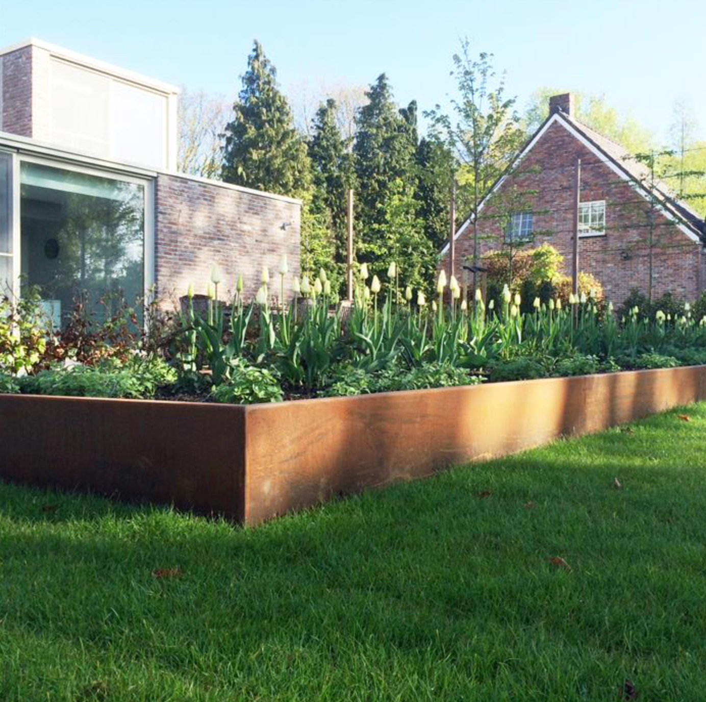angled corten steel garden edging surrounding flower bed