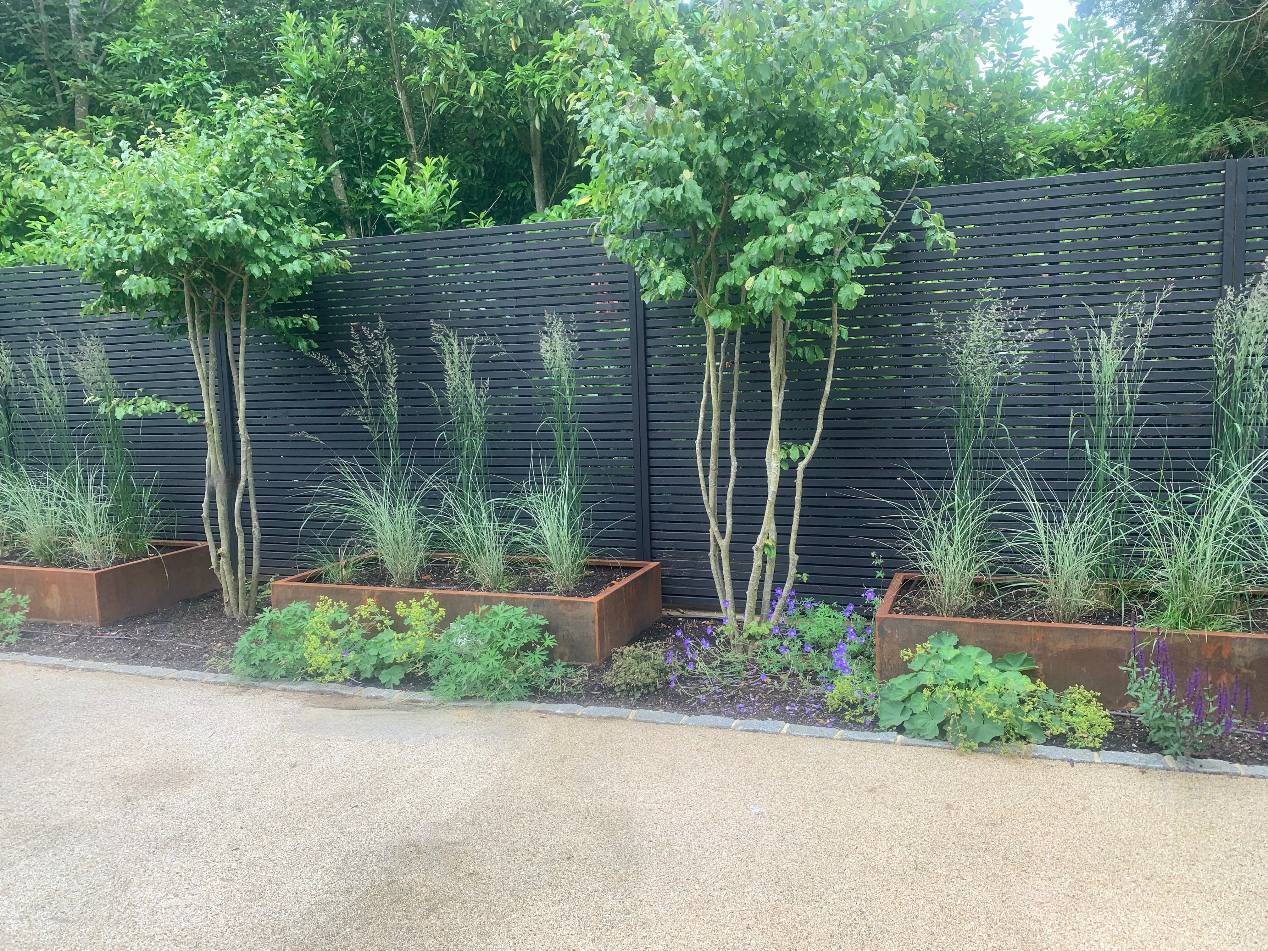corten steel raised beds without a base in a row of three