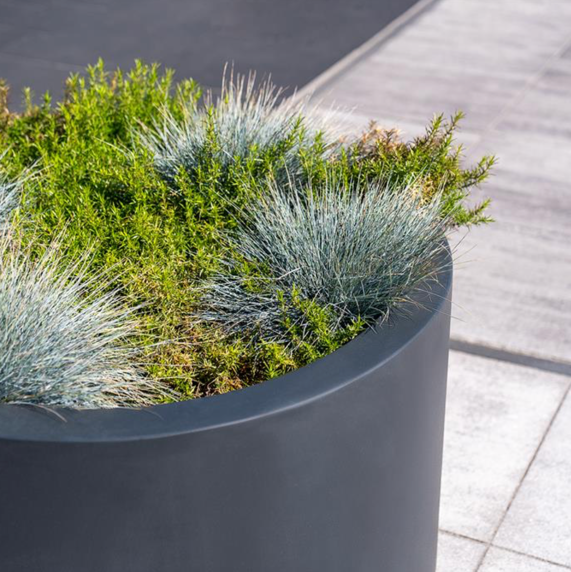 round black fiberglass garden planter