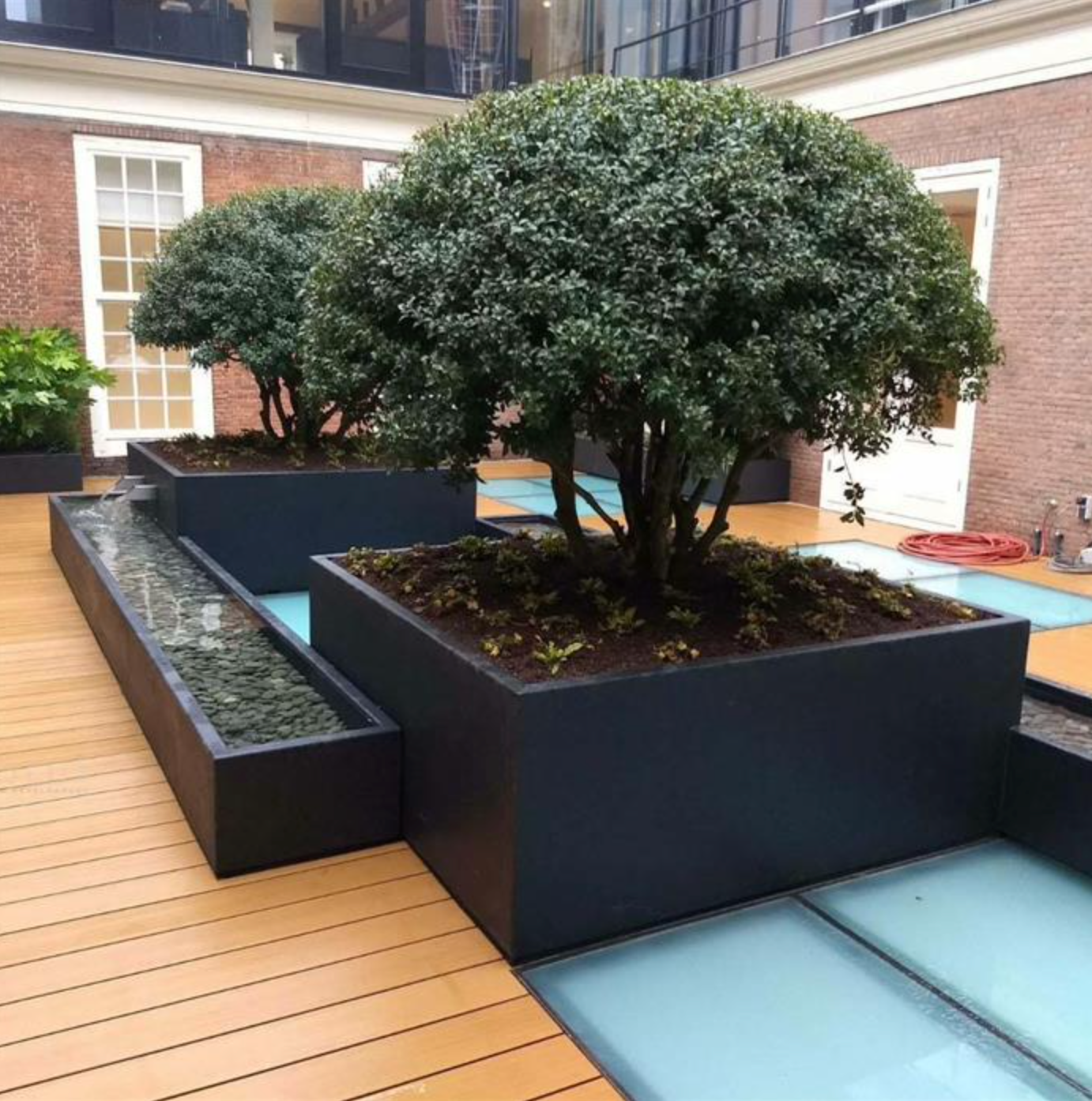 two large black square powder coated steel garden planters, planted with trees
