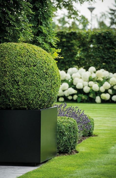 back cube powder coated steel garden planter