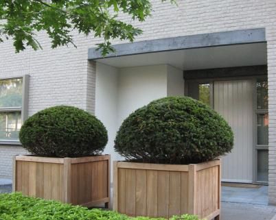 two square timber planters with bushes next to house