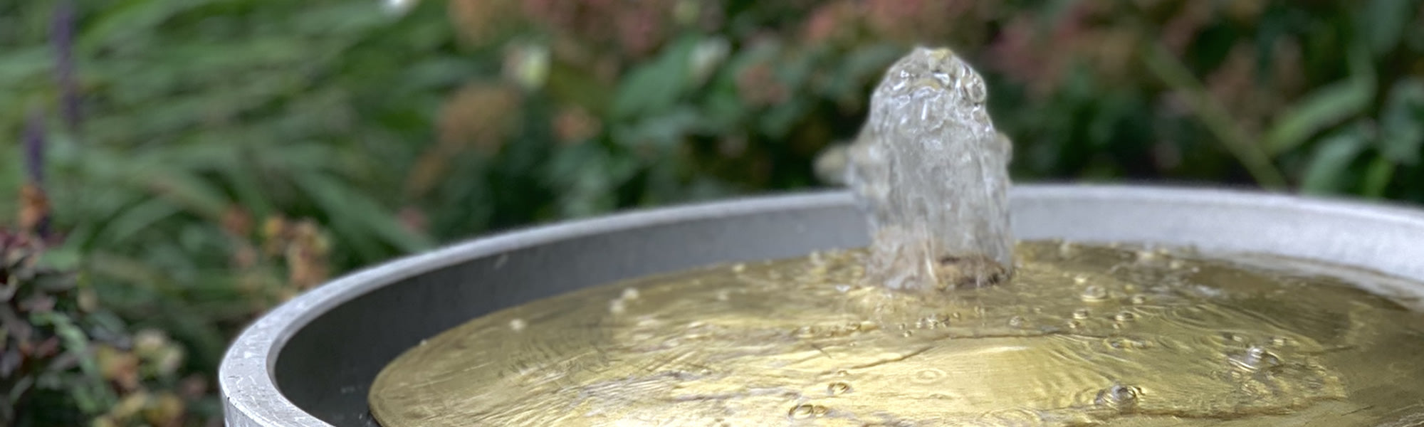 Water Bowls